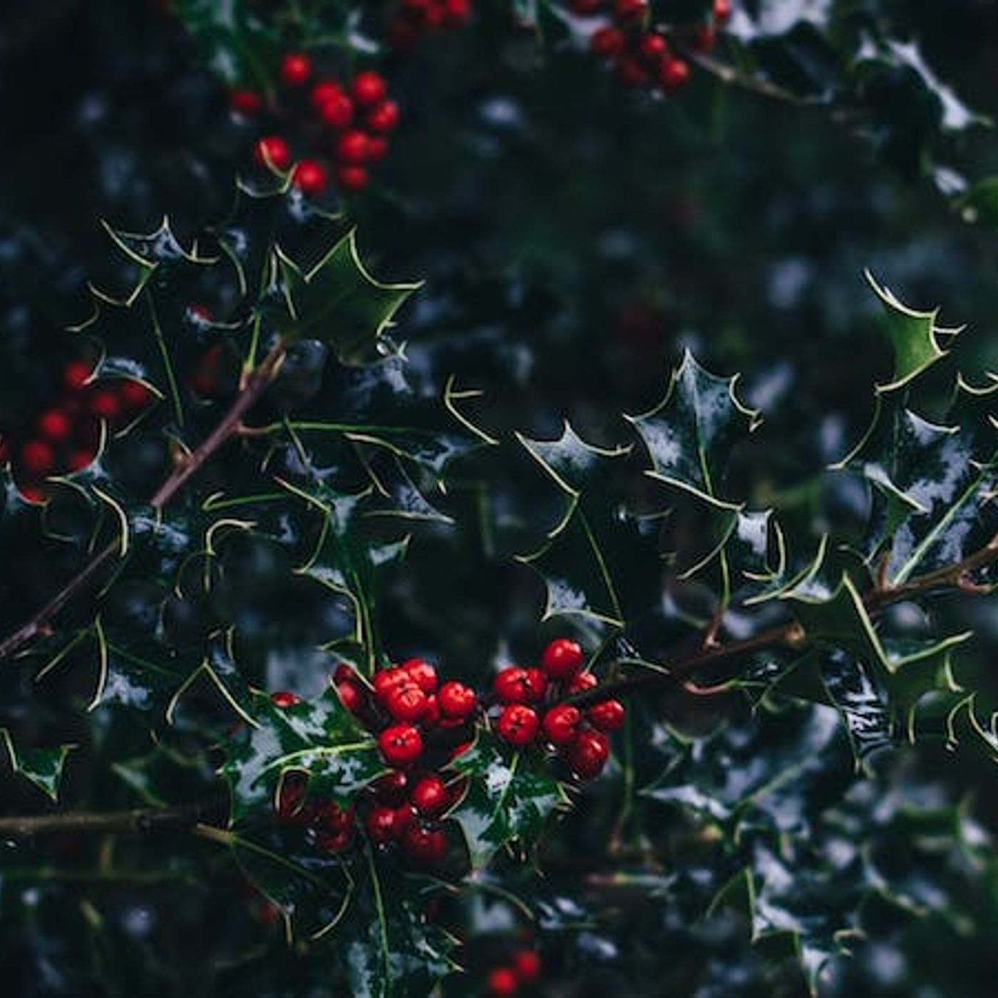 Does Christmas Create Racial Tensions?