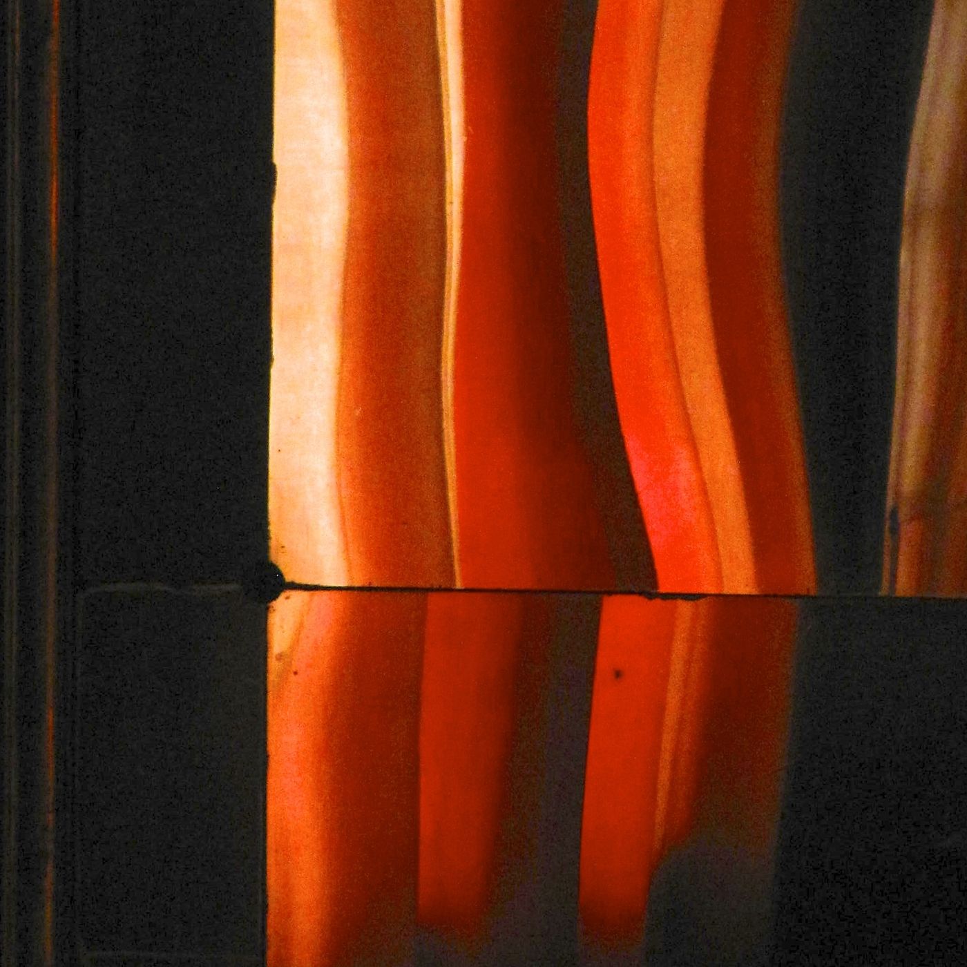 Rayuela. Poesie e prose
