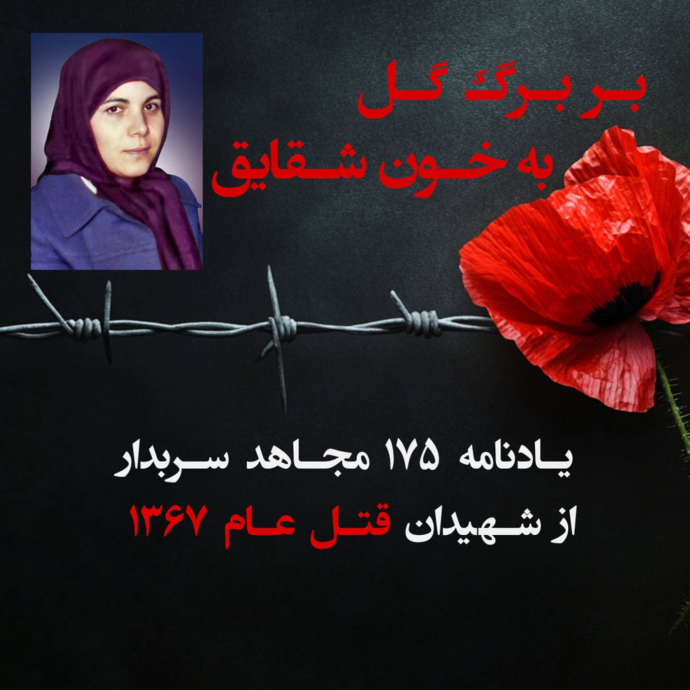 بربرگ گل به خون شقایق- منیره رجوی