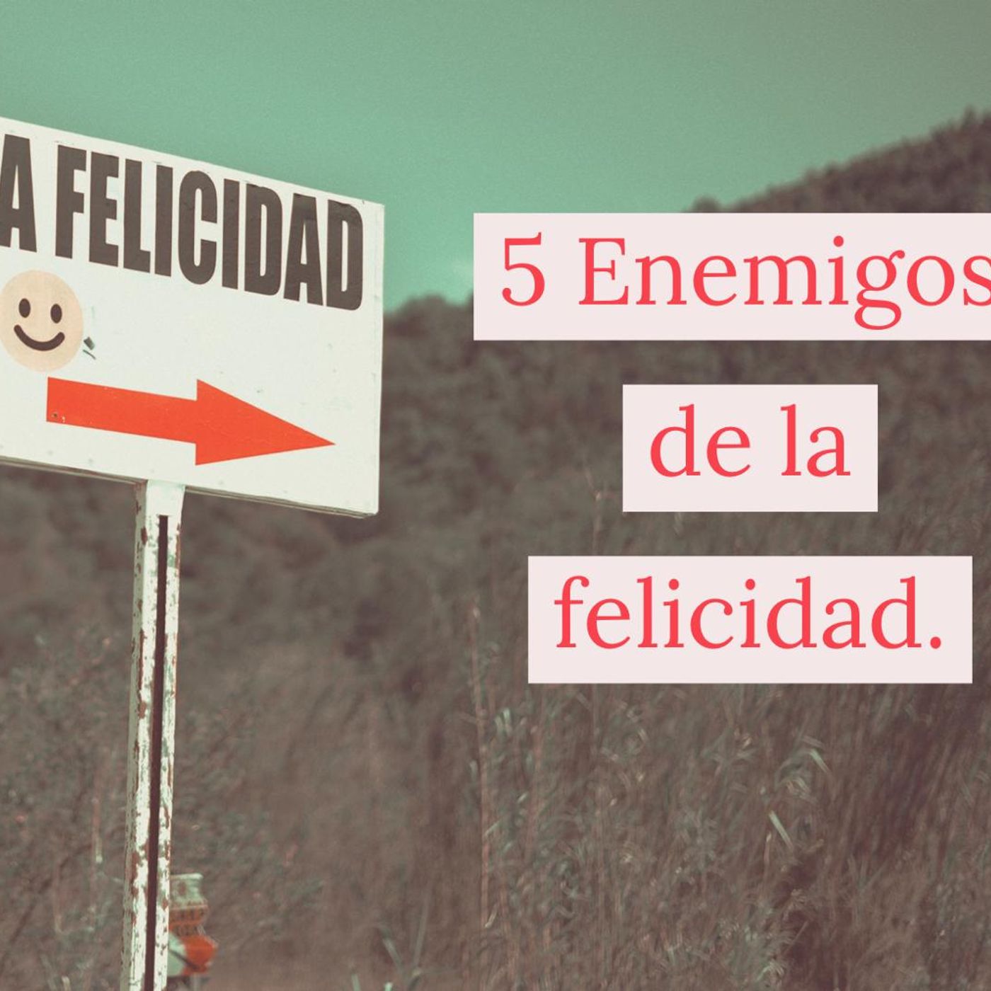 Principios para el Desarrollo Personal