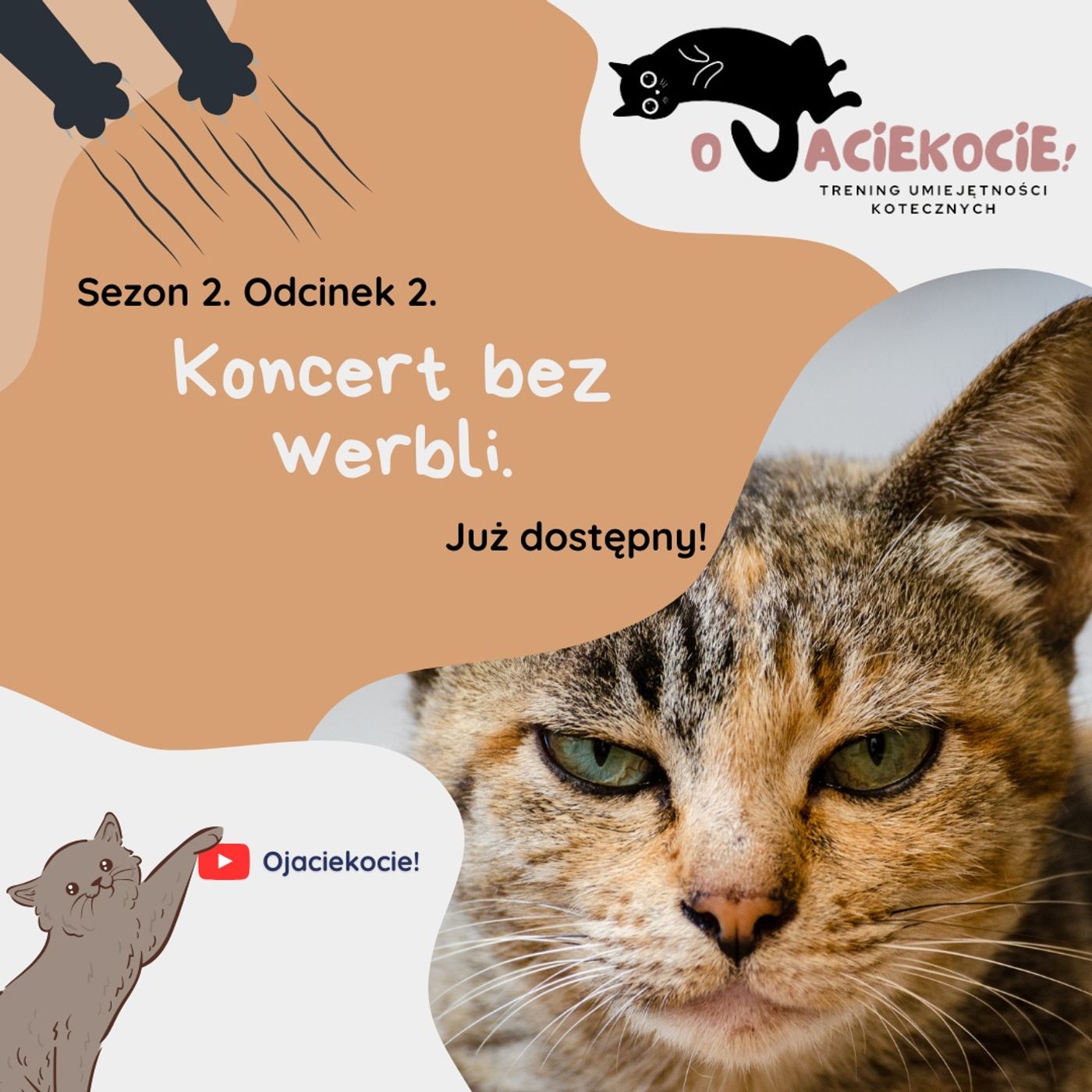 S2E2 - Koncert bez werbli. episode artwork