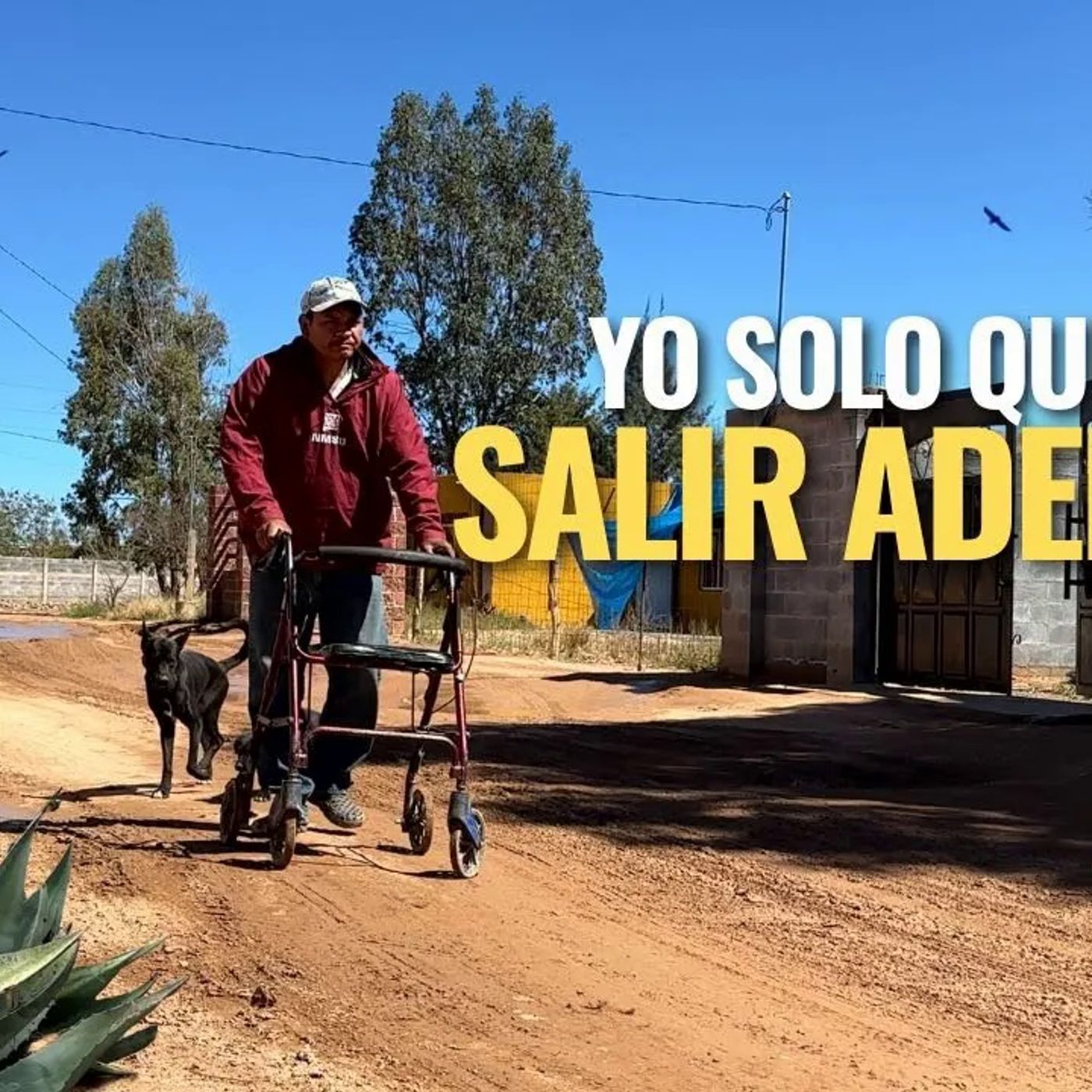 _ME GANO LA VIDA JUNTANDO BOTES CON MI ANDADOR_