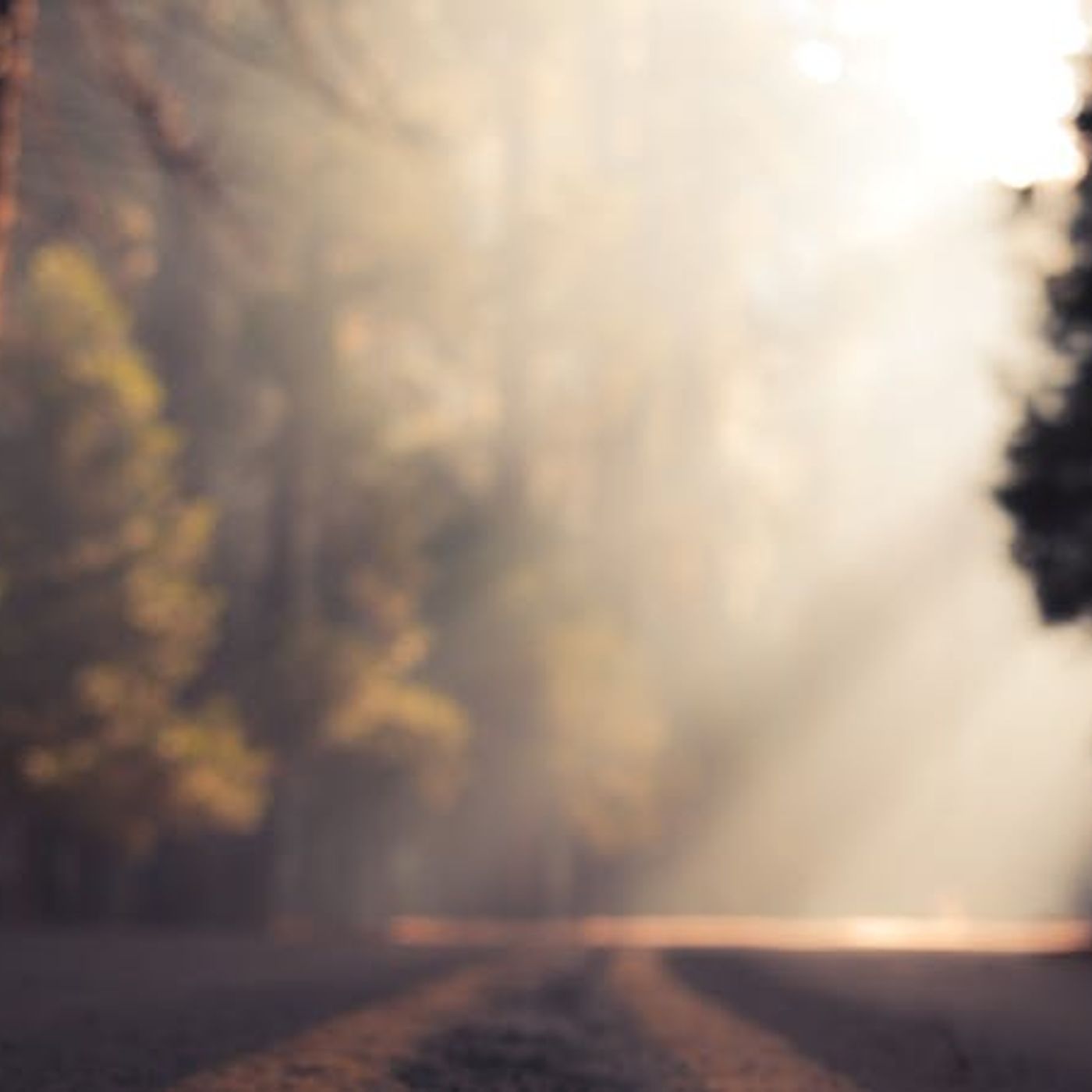 Looking Back at 2023, Looking Ahead to 2024