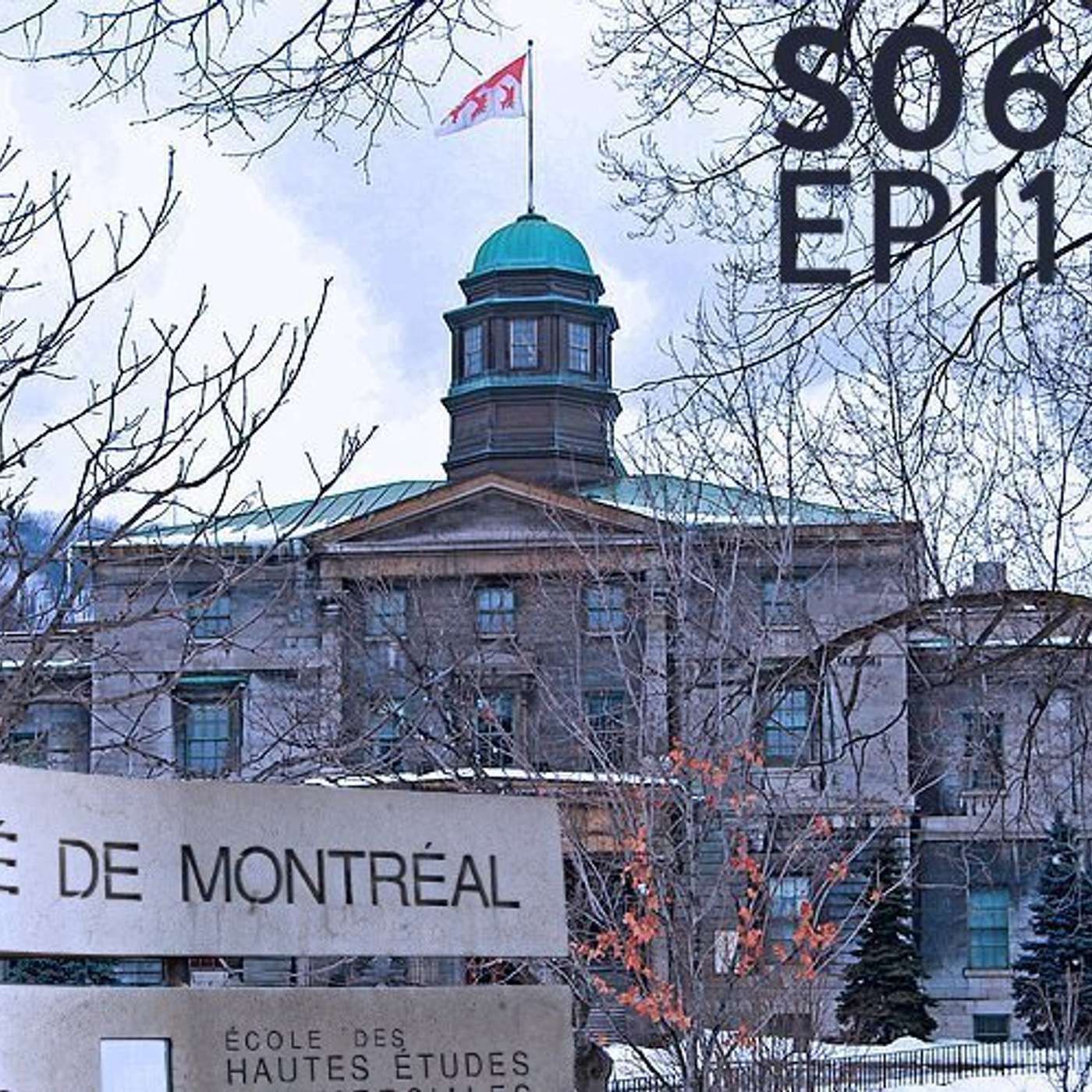 S06-EP11- Le financement des universités (enfin) expliqué aux enfants et surtout à leurs parents. episode artwork