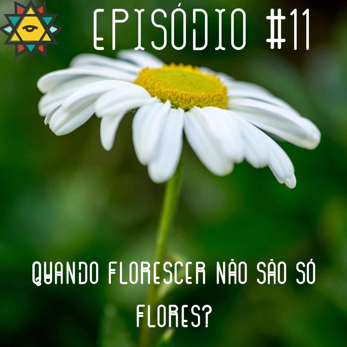 Aprendiz Mathite - Olhar de aprendiz e um pouco de diz-que-me-diz