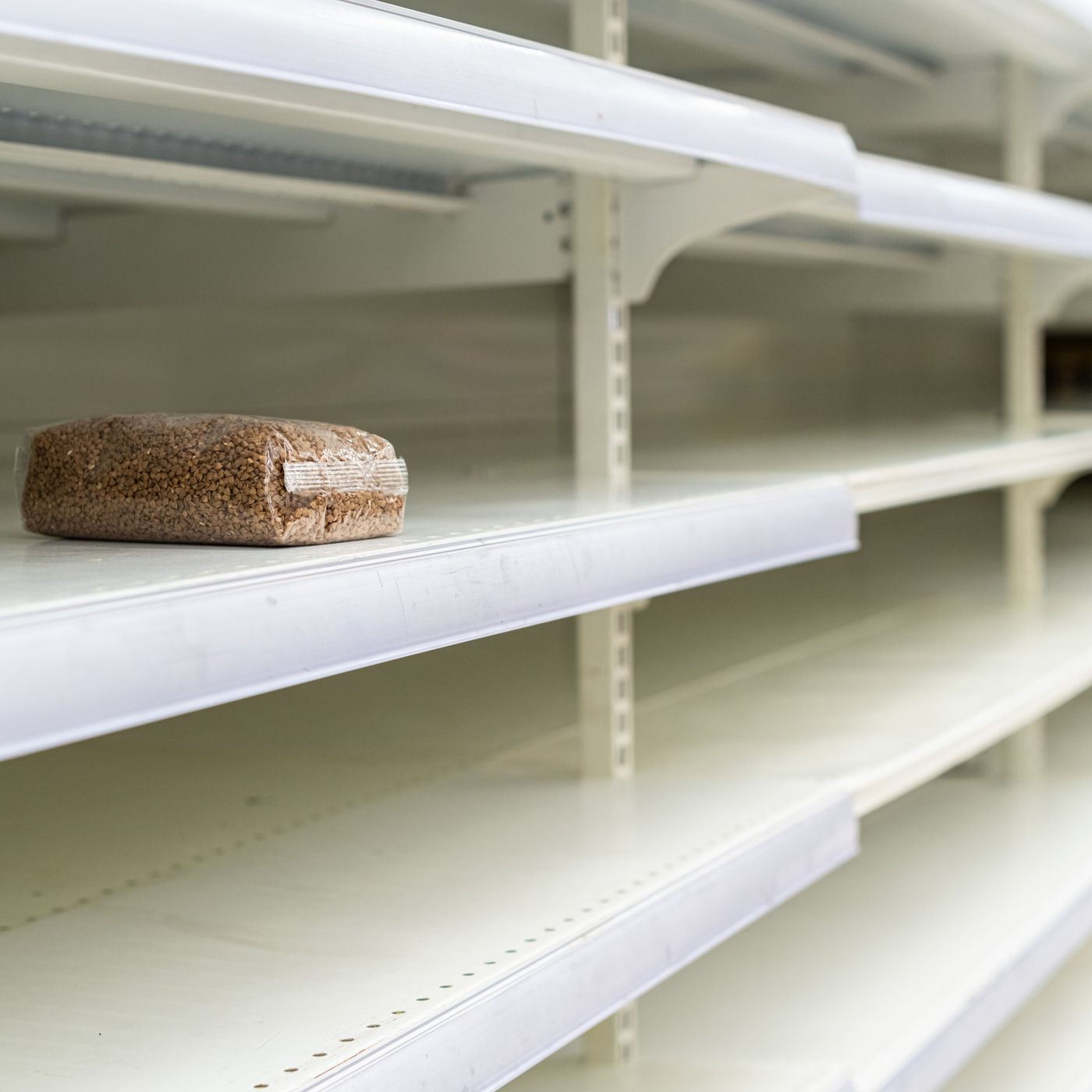 Food Shortage Conspiracy Podcasts | New World Order | Prepping