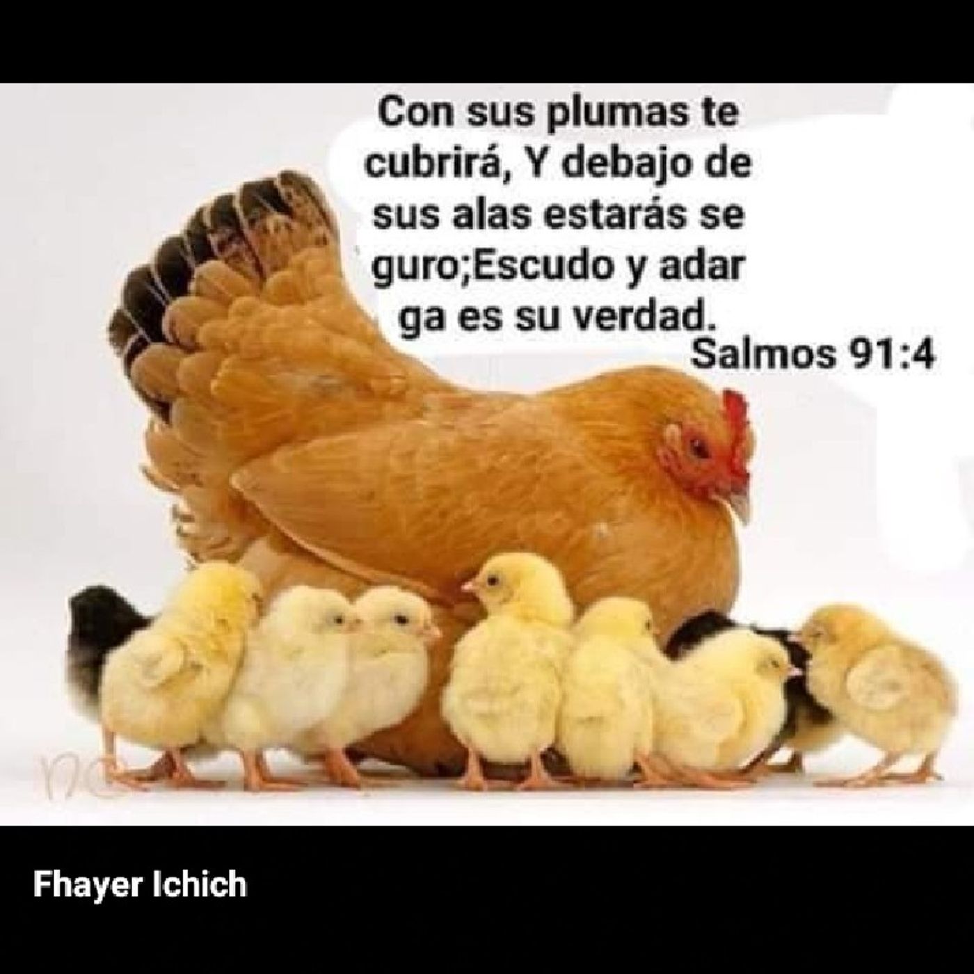 Cristo  Te  Ama