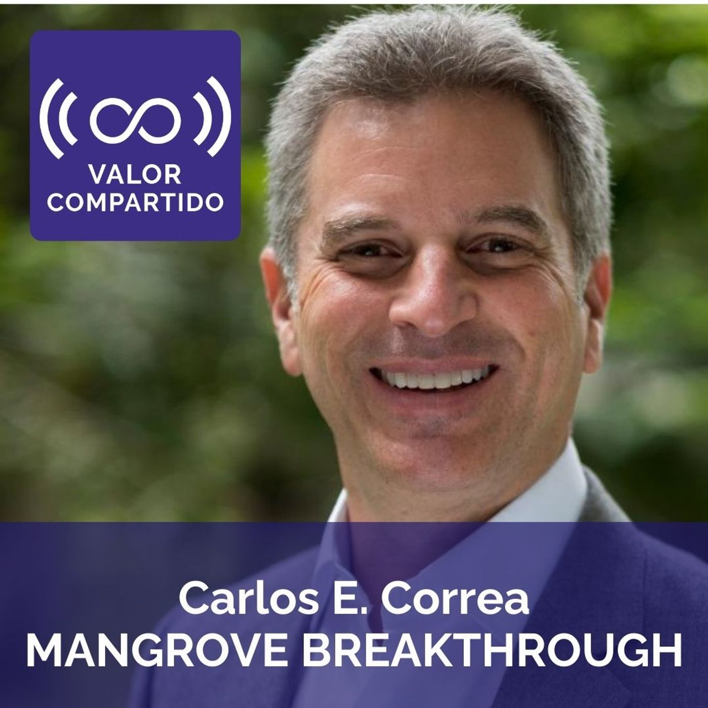 Manglares, activo natural clave en la acción climática global Manglares, activo natural clave en la acción climática global