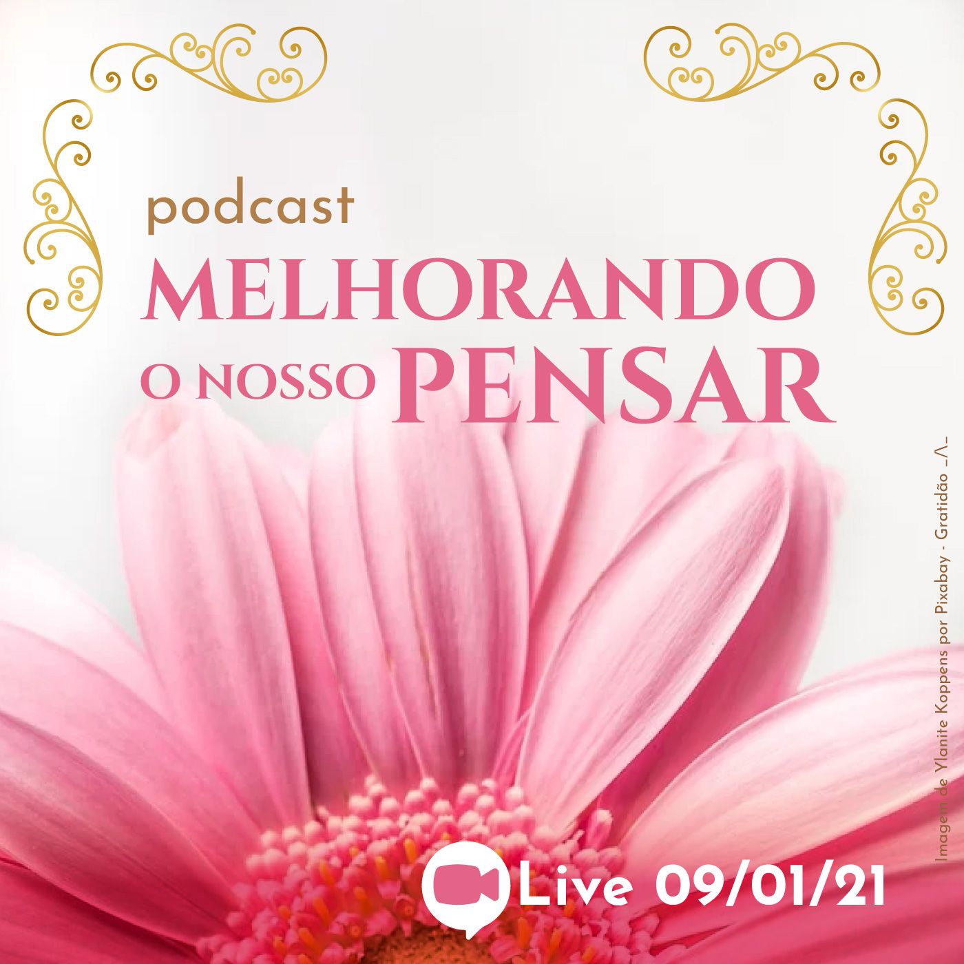 Podcasts das lives com abba Shimoda
