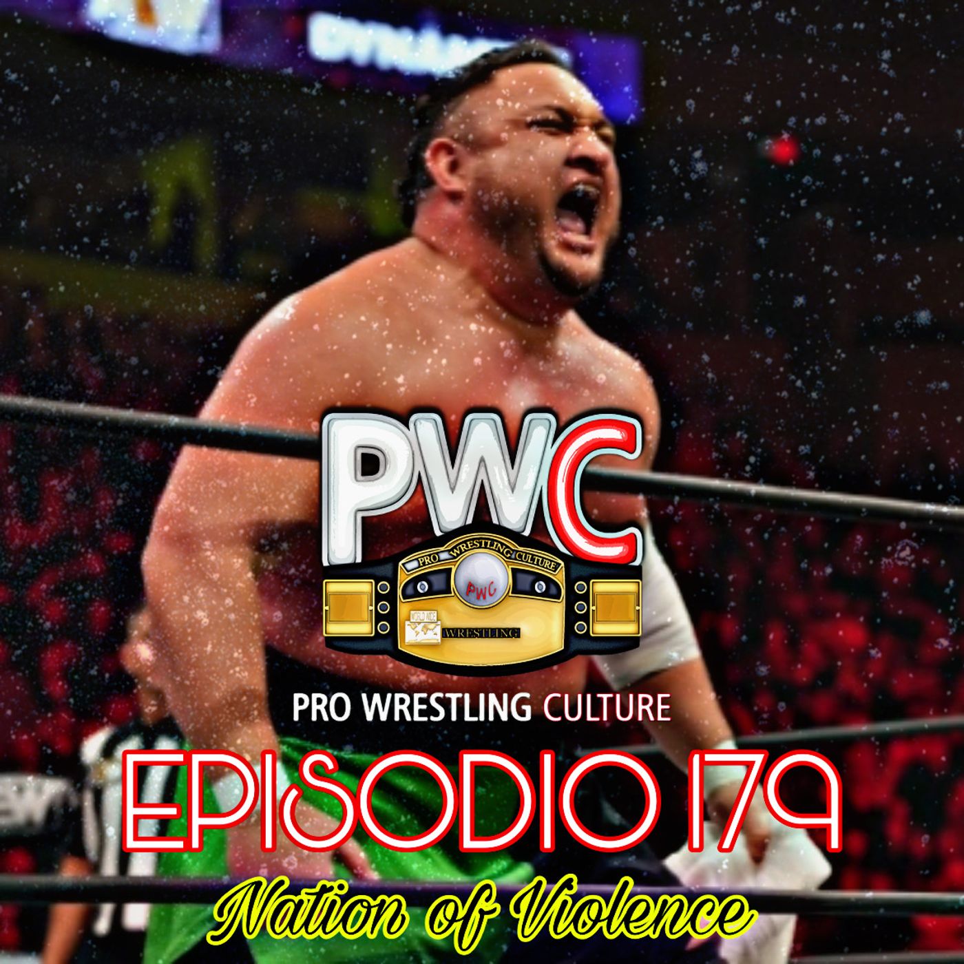 Pro Wrestling Culture