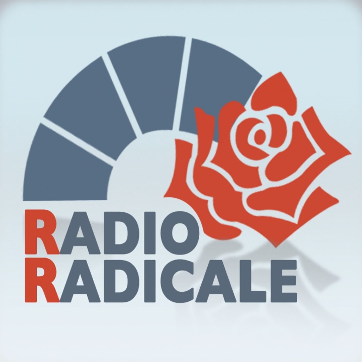 Interviste e trasmissioni radiofoniche