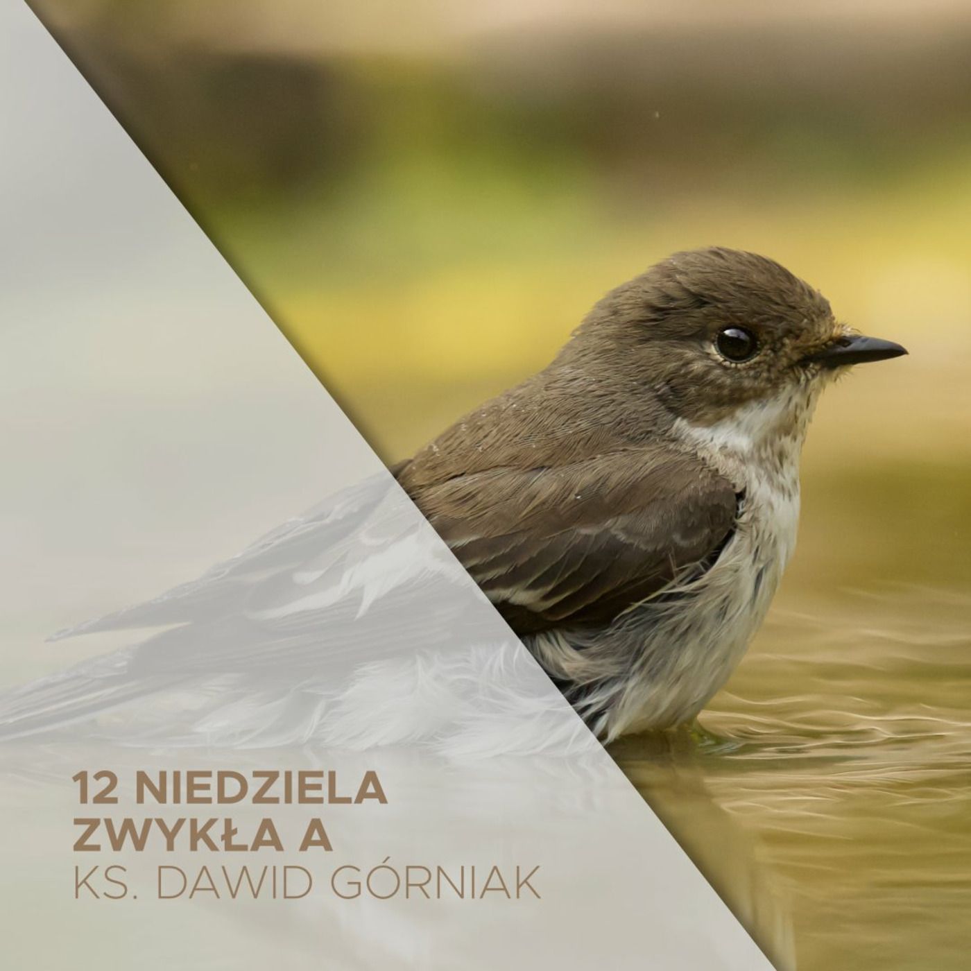 25.06.2023 - 12 Niedziela Zwykła (A) - ks. Dawid Górniak episode artwork