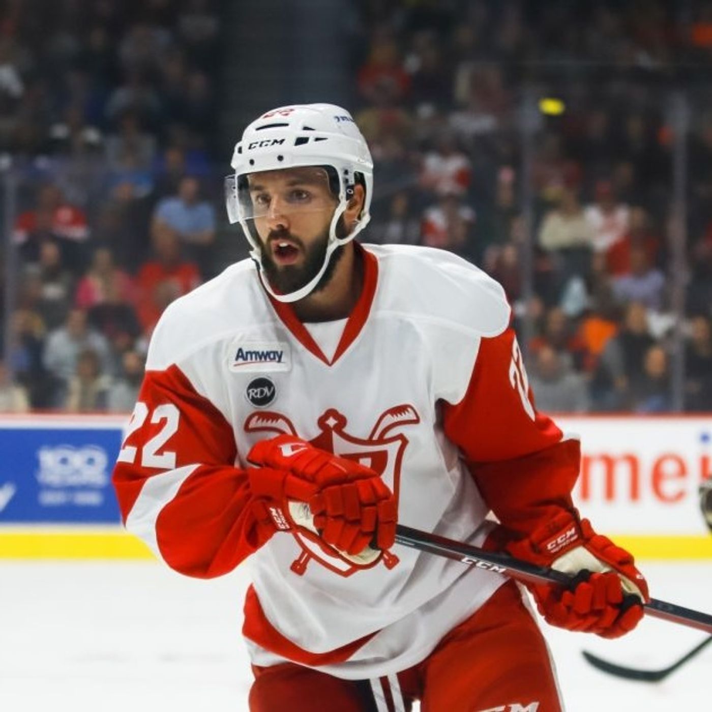 Wade Megan - Grand Rapids Griffins Forward episode artwork