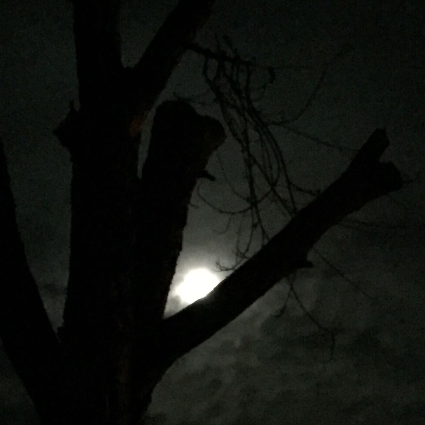 Know your enemy and Crush him (part 1)