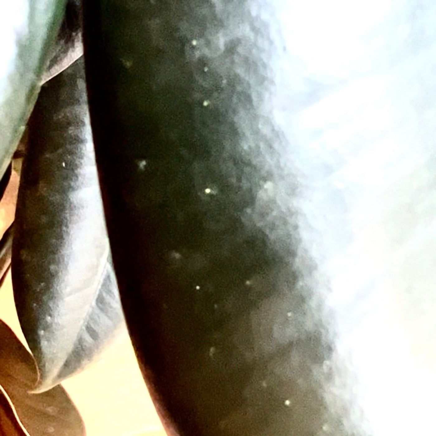 Episode 128 - Cystoliths
