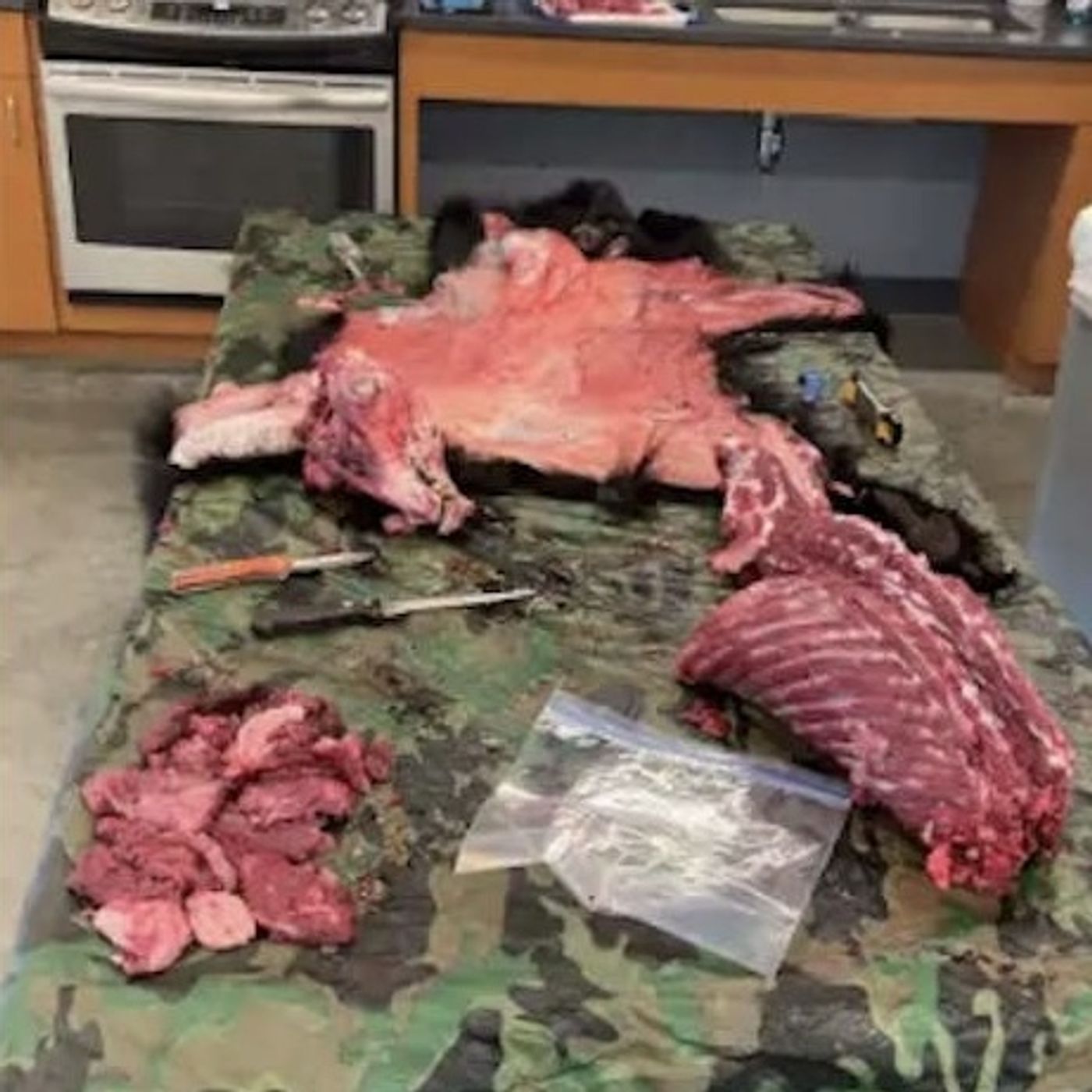 Dorm Room Bear Skinning, Birthday Cake Bottle Rockets, and Brake-Checking An Ambulance
