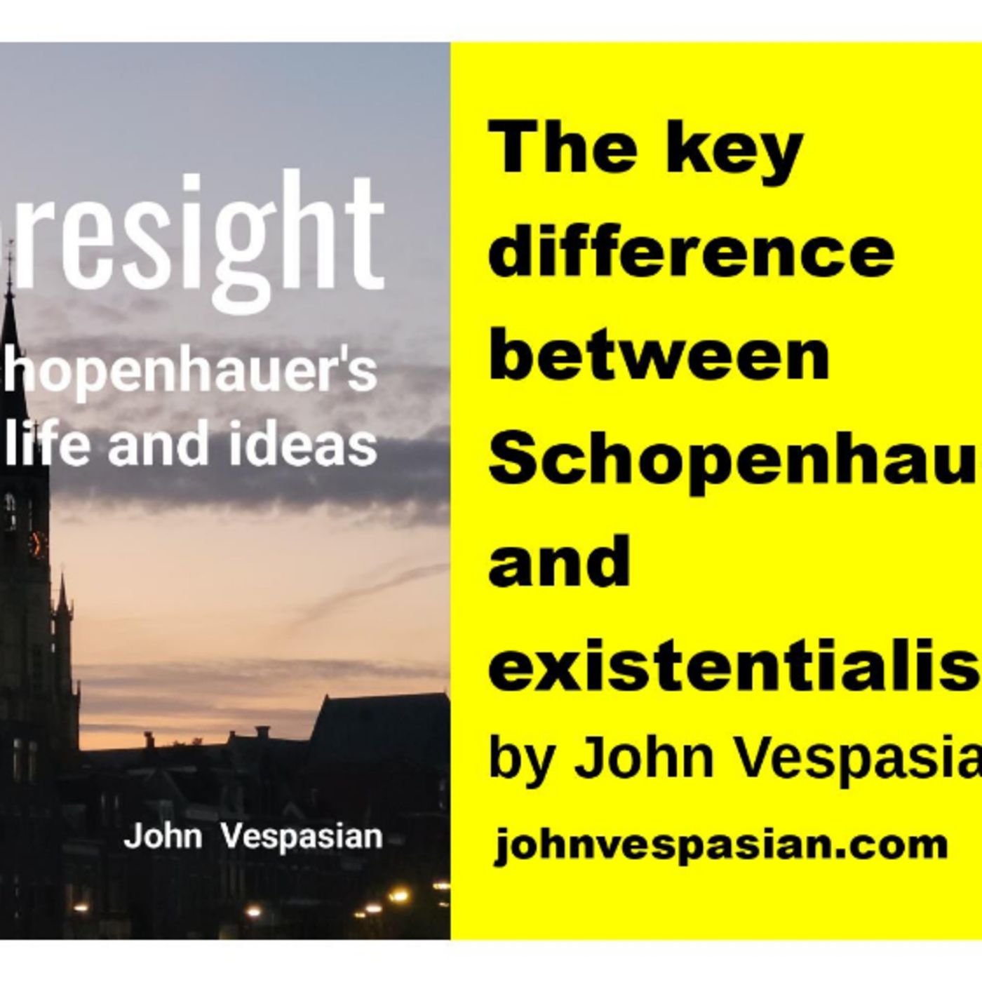 The key difference between Schopenhauer and existentialism episode artwork