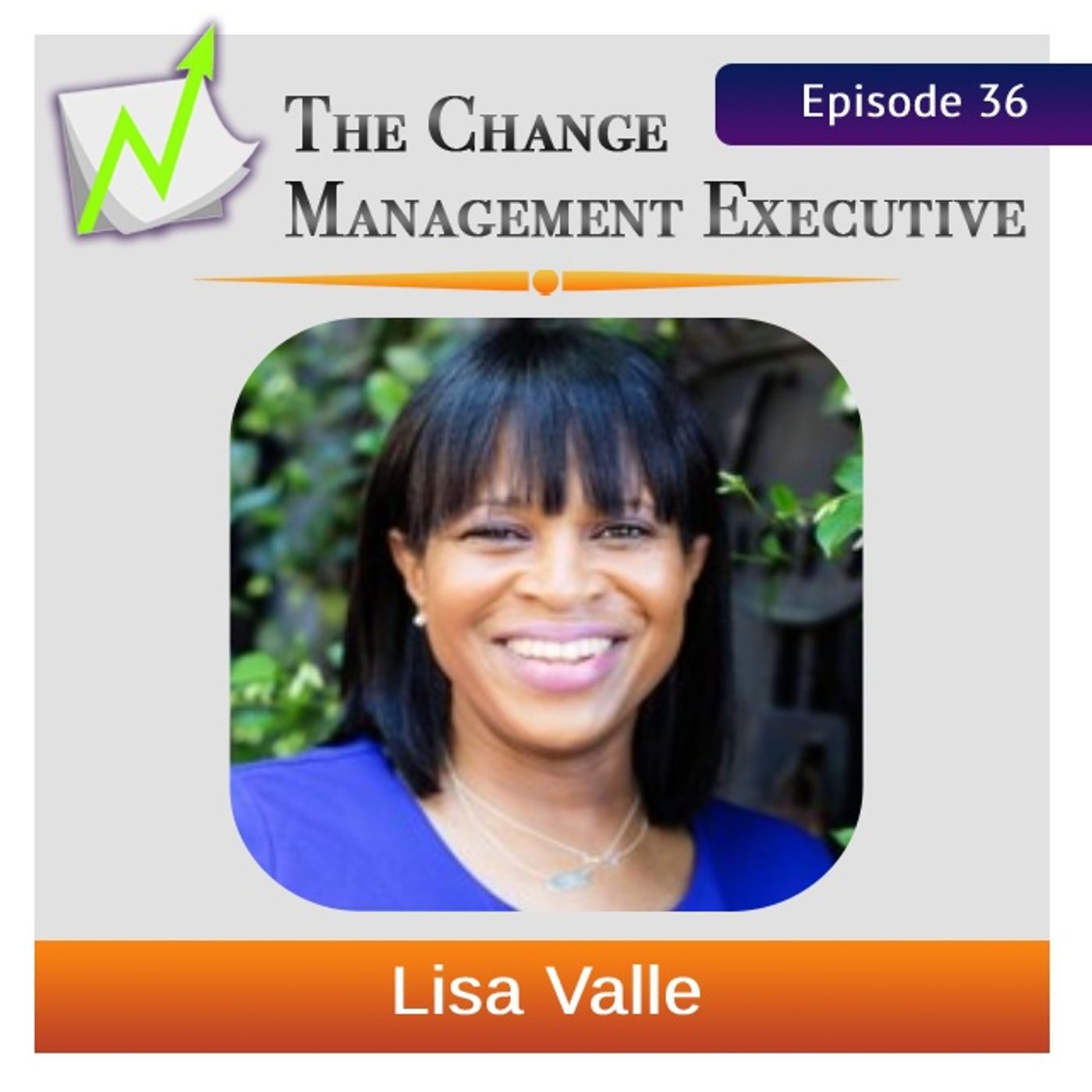 Communication Doesn't Stop with Lisa Valle - podcast episode cover