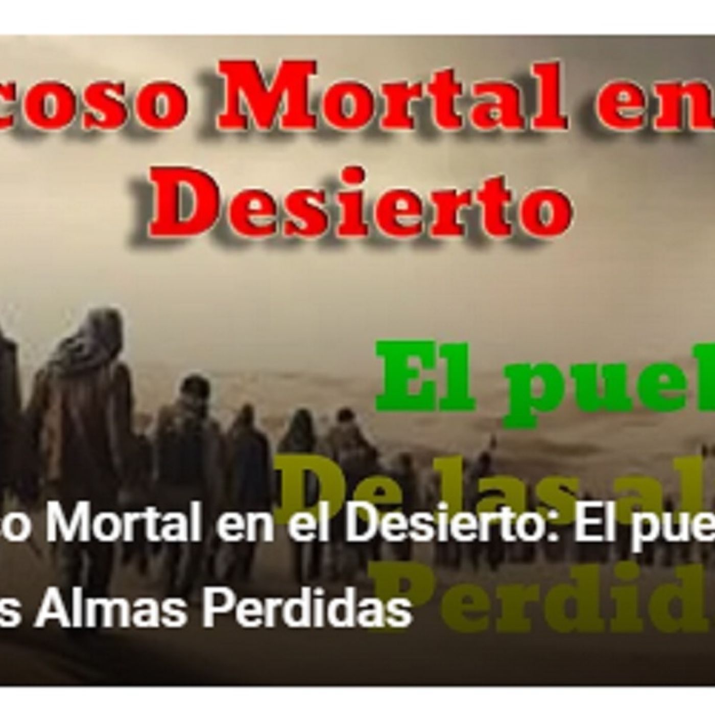 Bosque Digital Radio, La mejor Musica