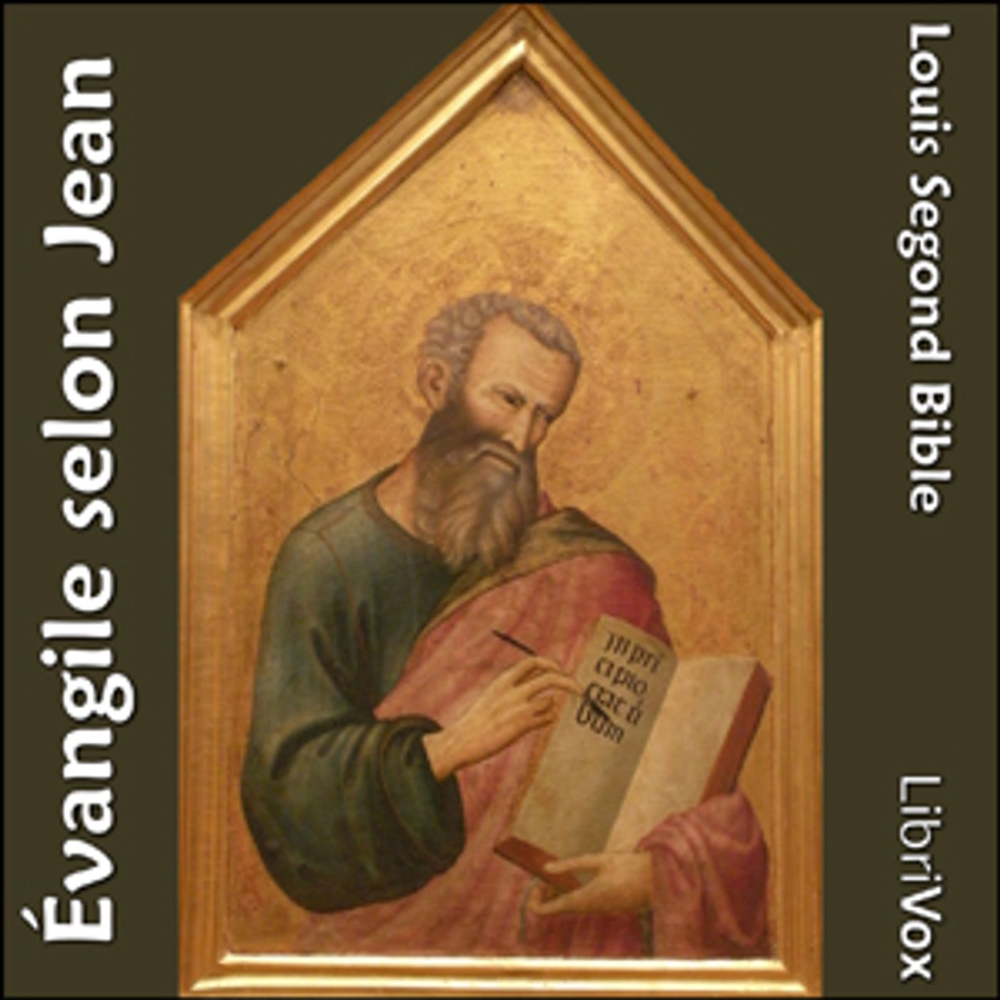 Bible (LSG, 1910) NT 04: Évangile selon Jean by Louis Segond Bible (1810 - 1855)