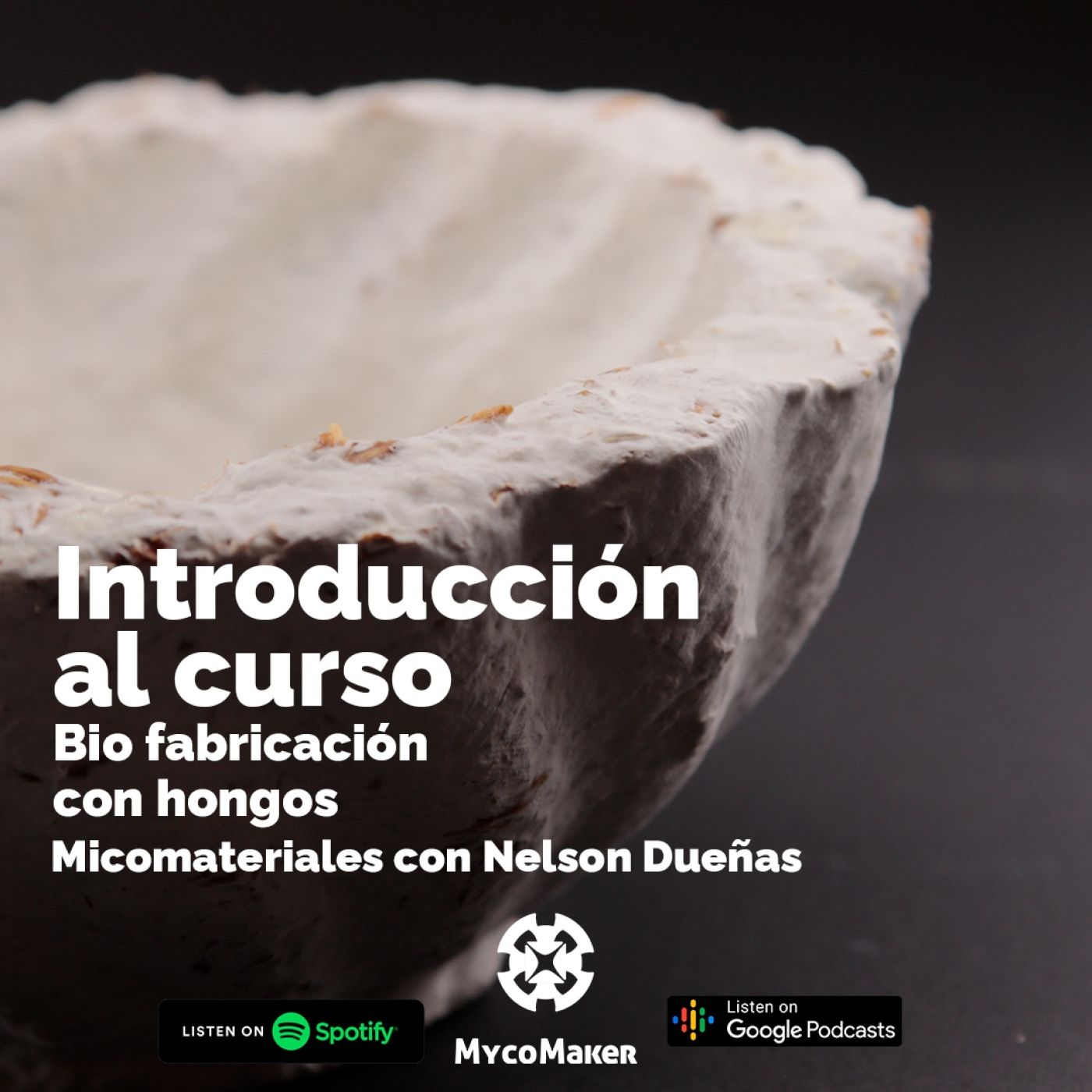 Pasión por los hongos