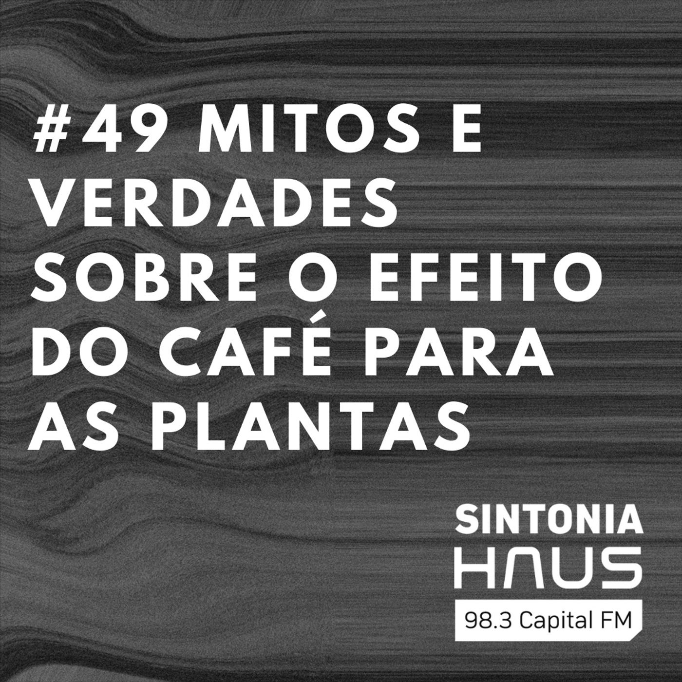 Aprenda a usar resíduos do café para ter plantas mais saudáveis | SINTONIA HAUS #49 episode artwork