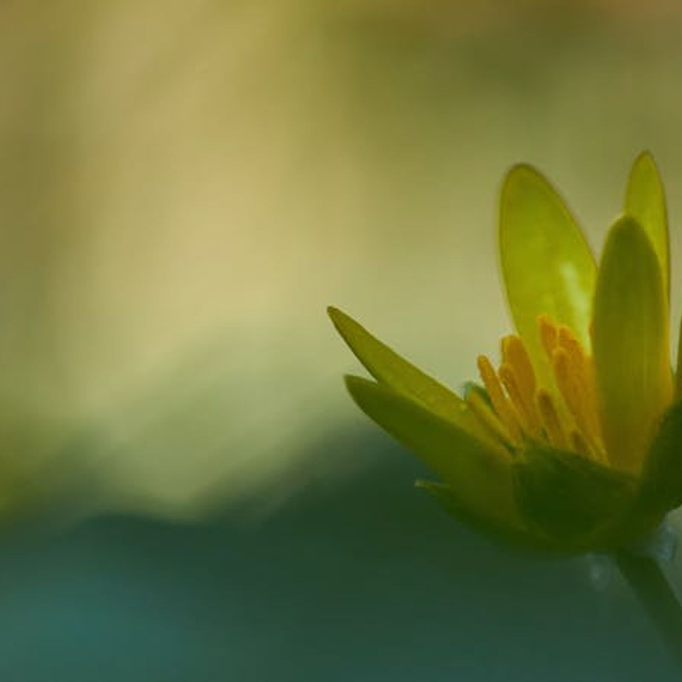 How Are We Born Again?