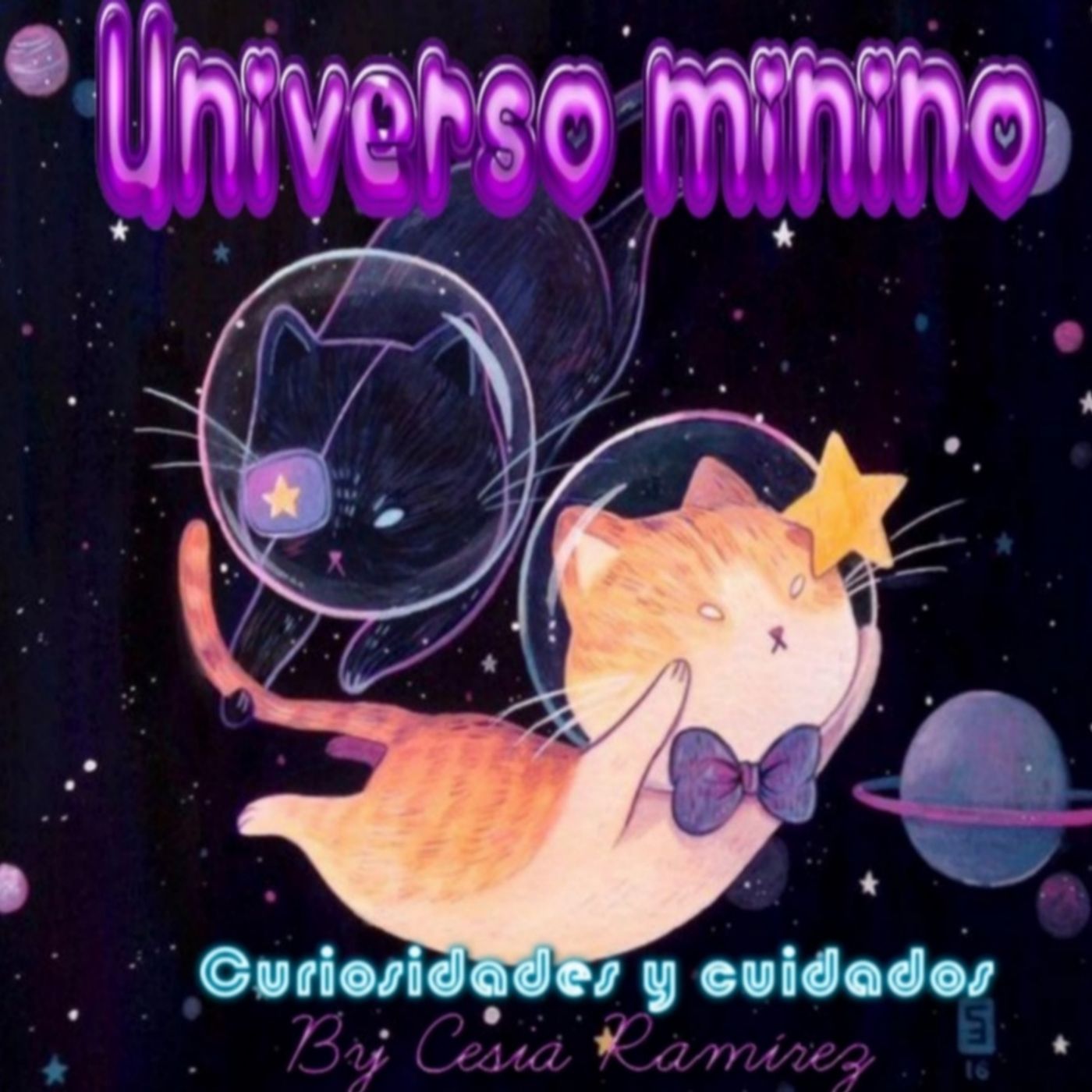 Universo minino