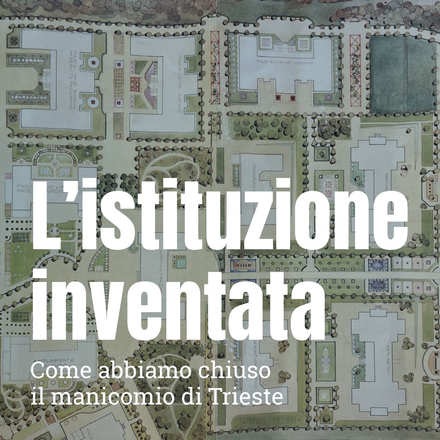L'istituzione inventata