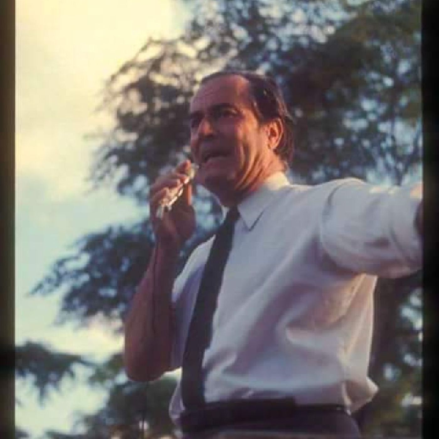 En perspectiva con Red Wilsonista