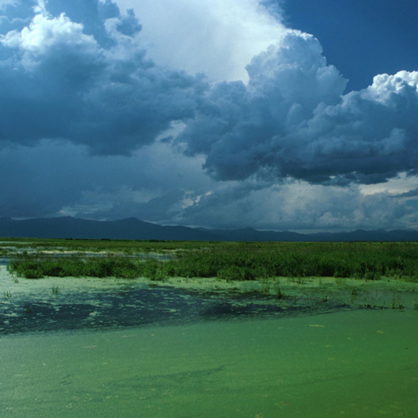 Deadline Approaches For Klamath Restoration Deal episode artwork