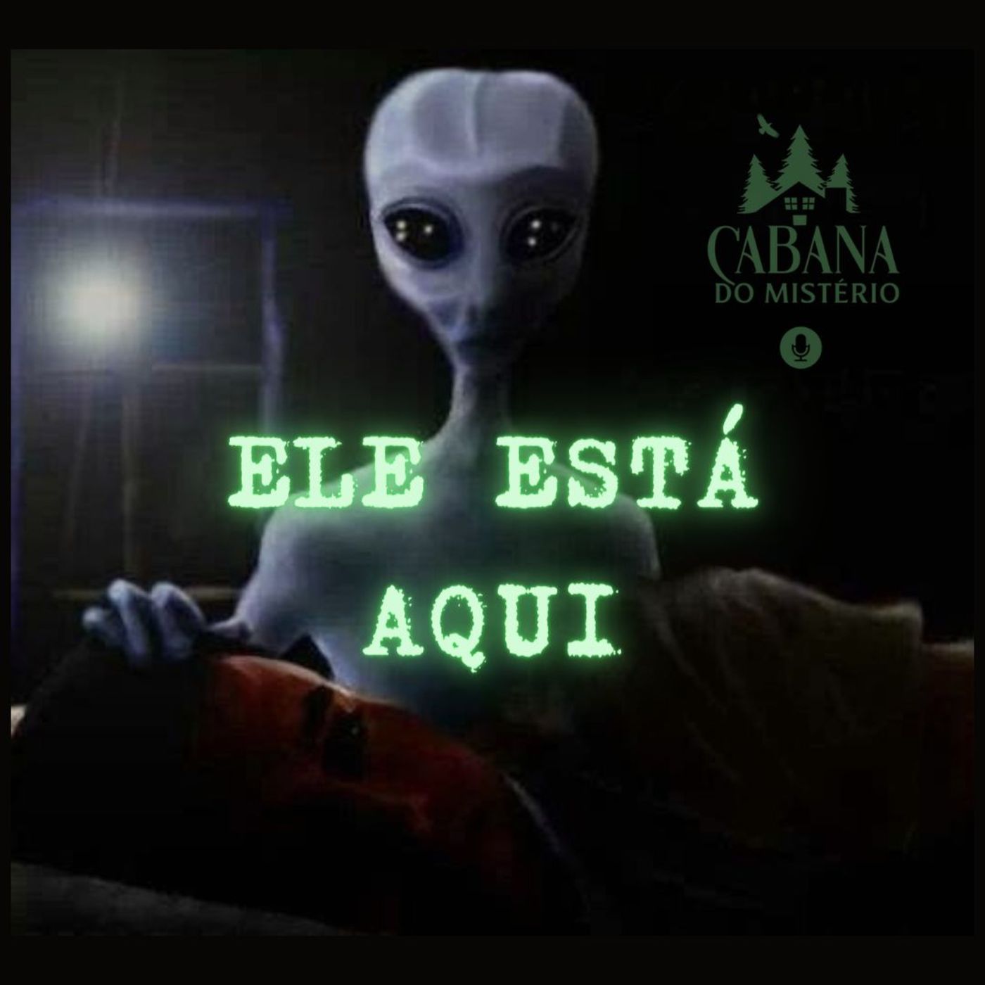 Cabana Do Mistério