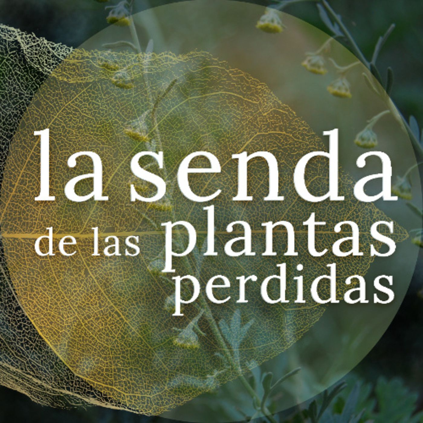 La Senda de las Plantas Perdidas
