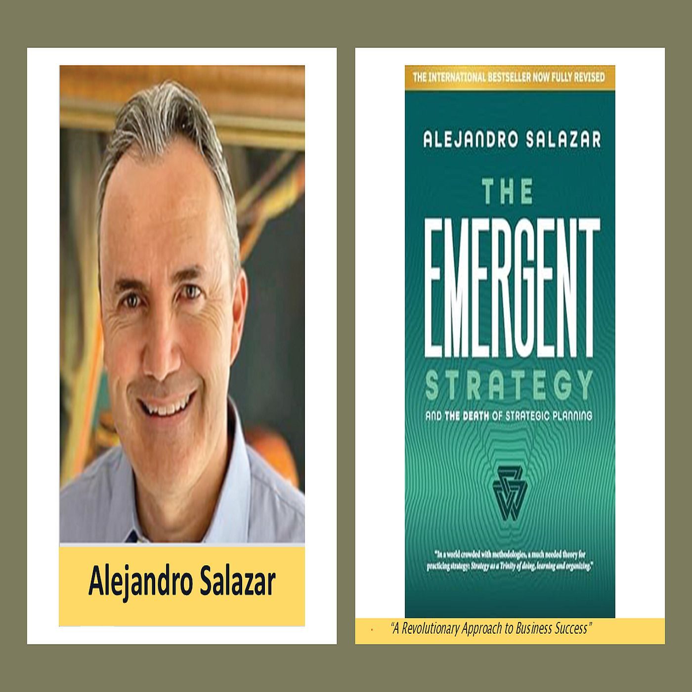 Unveiling the Emergent Strategy Business Game Changer episode artwork