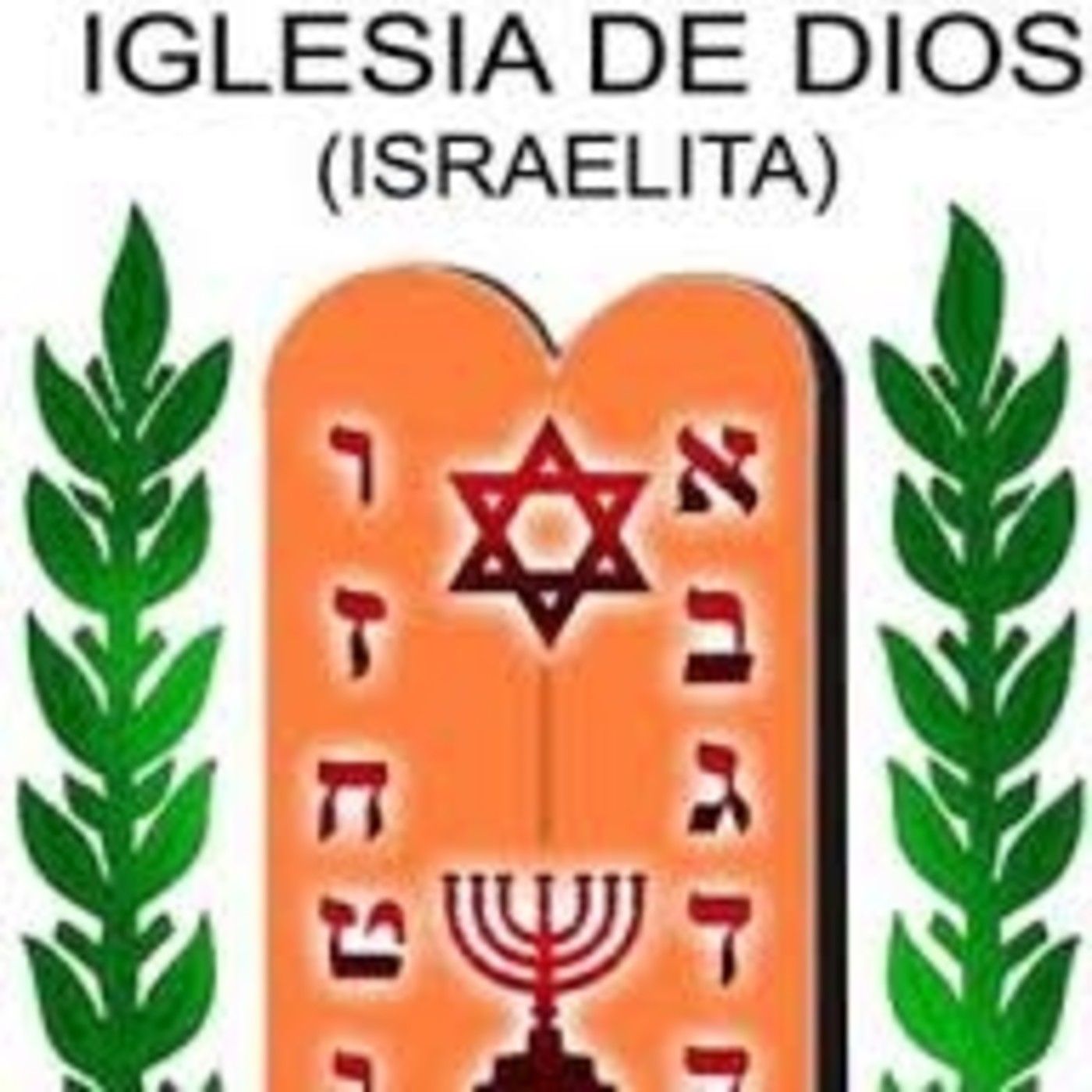 Audios IDI