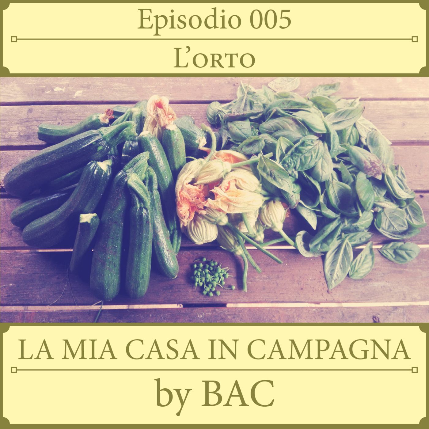 La Mia Casa In Campagna