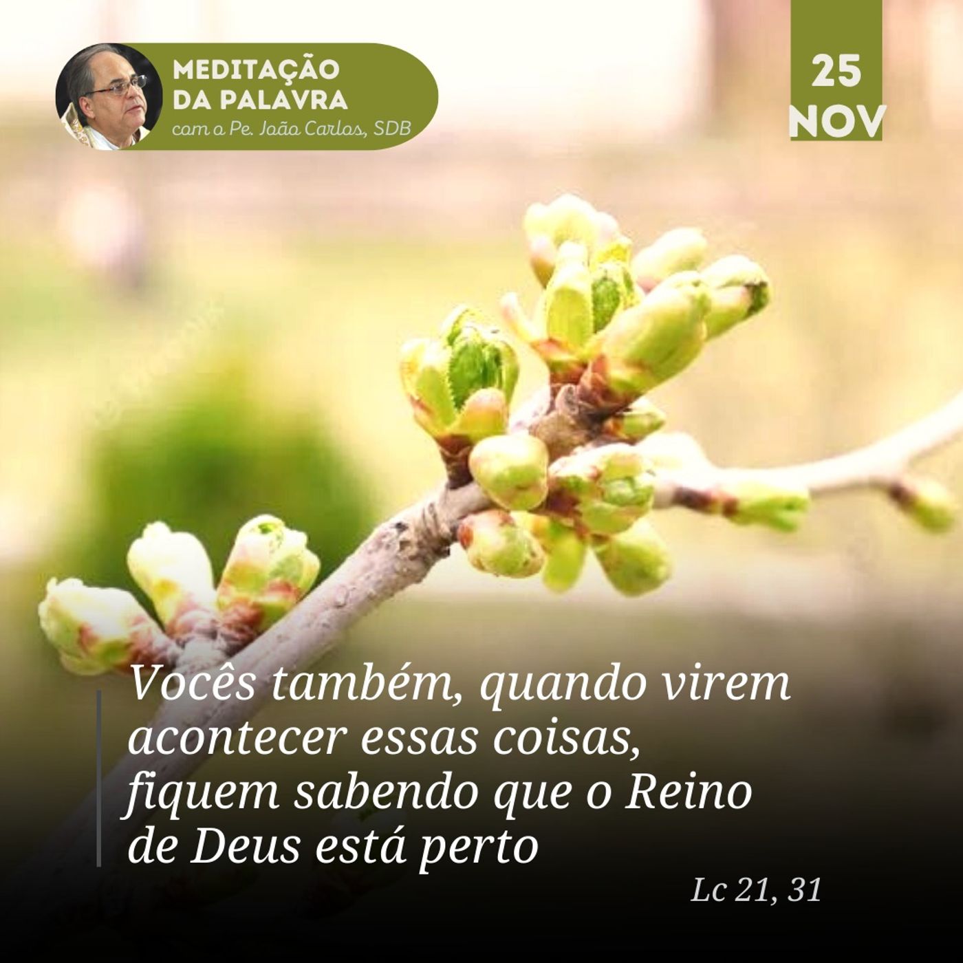 Pe. João Carlos - Meditação da Palavra
