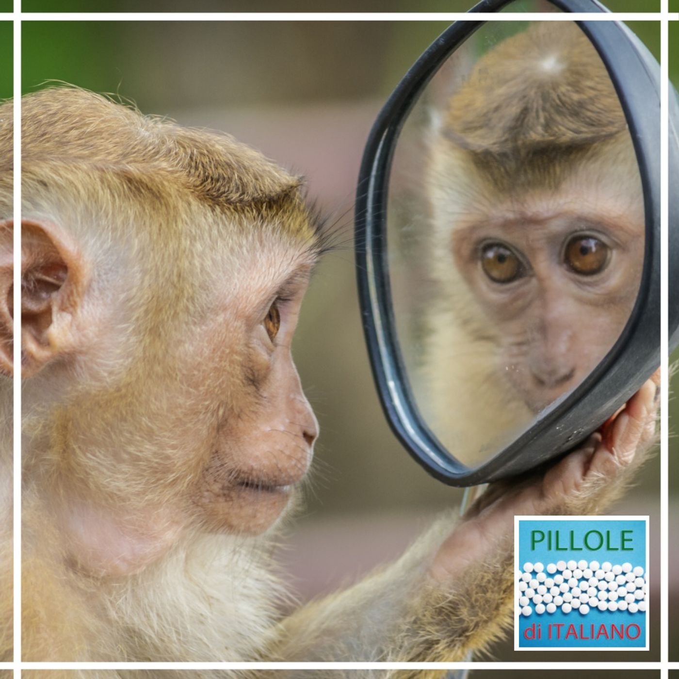 La parola - Scimmia