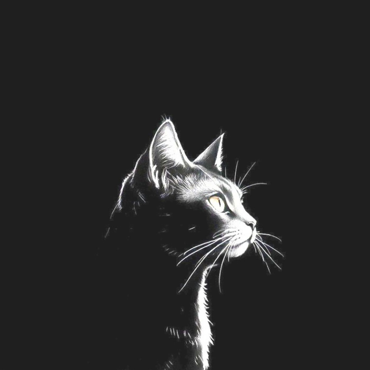 They Hanged a Cat for Treason episode artwork