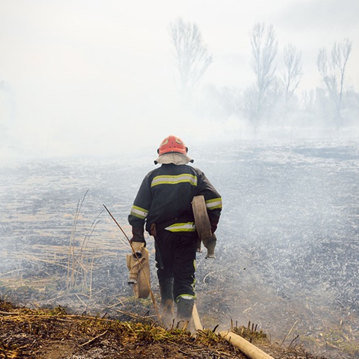 Ugly Truth About Maui Fires & the Hawaiian Government