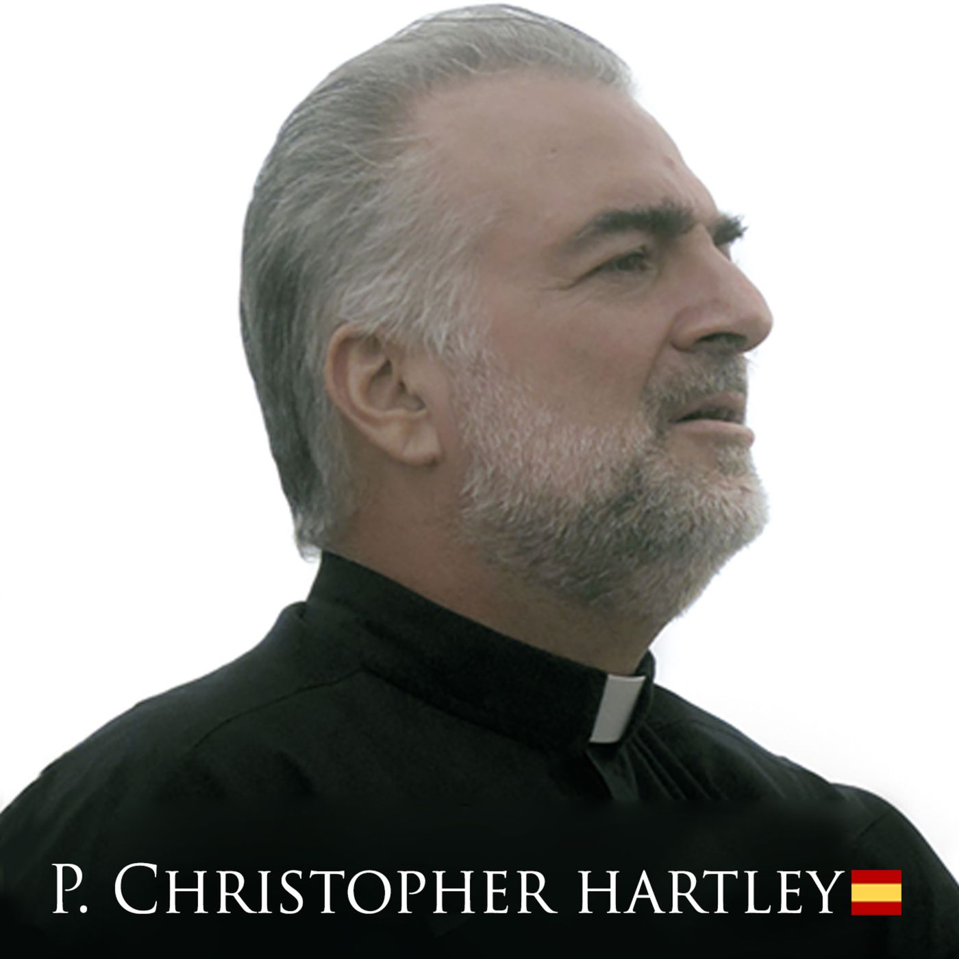 Padre Christopher Hartley | Reflexión del Evangelio del Día 🇪🇸