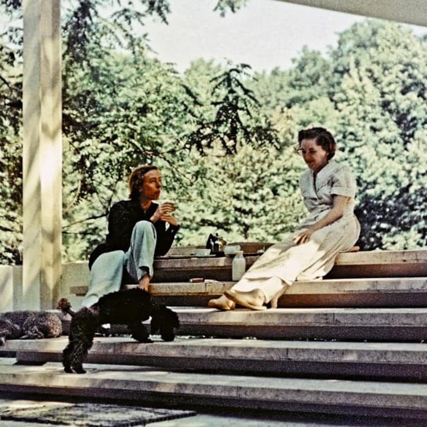 Análisis de la obra, la historia y el origen de la casa Farnsworth