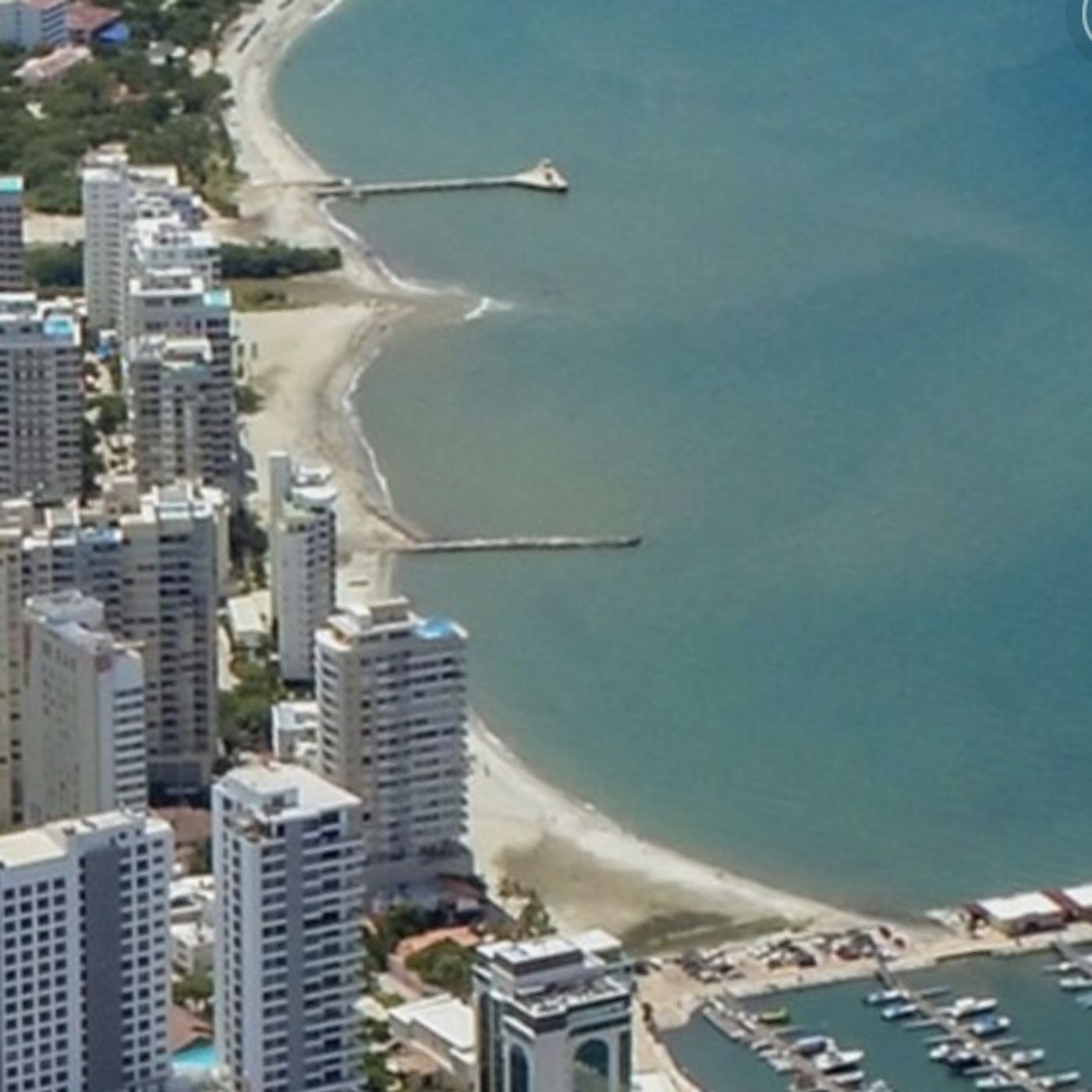 Del Caribe y otros Tulipanes