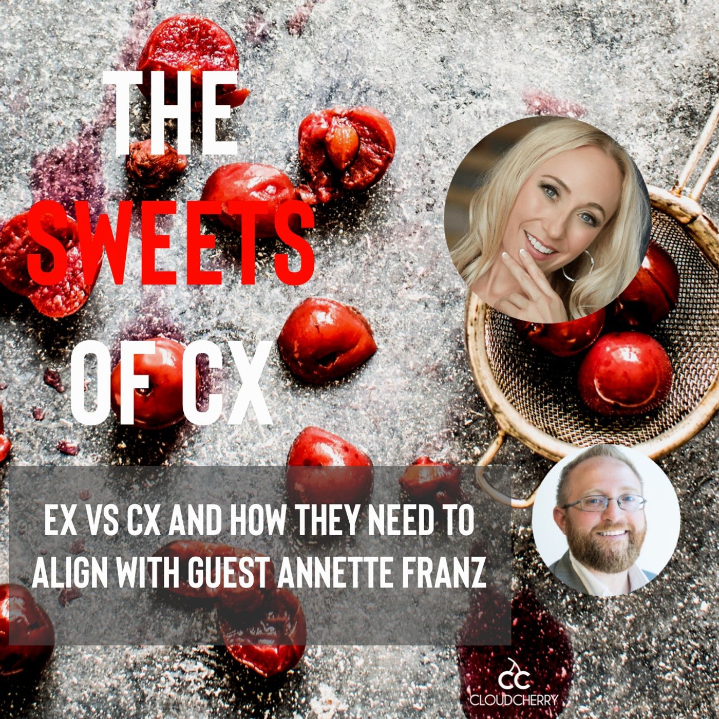 Episode 6 : Annette Franz - EX vs CX and How They Align