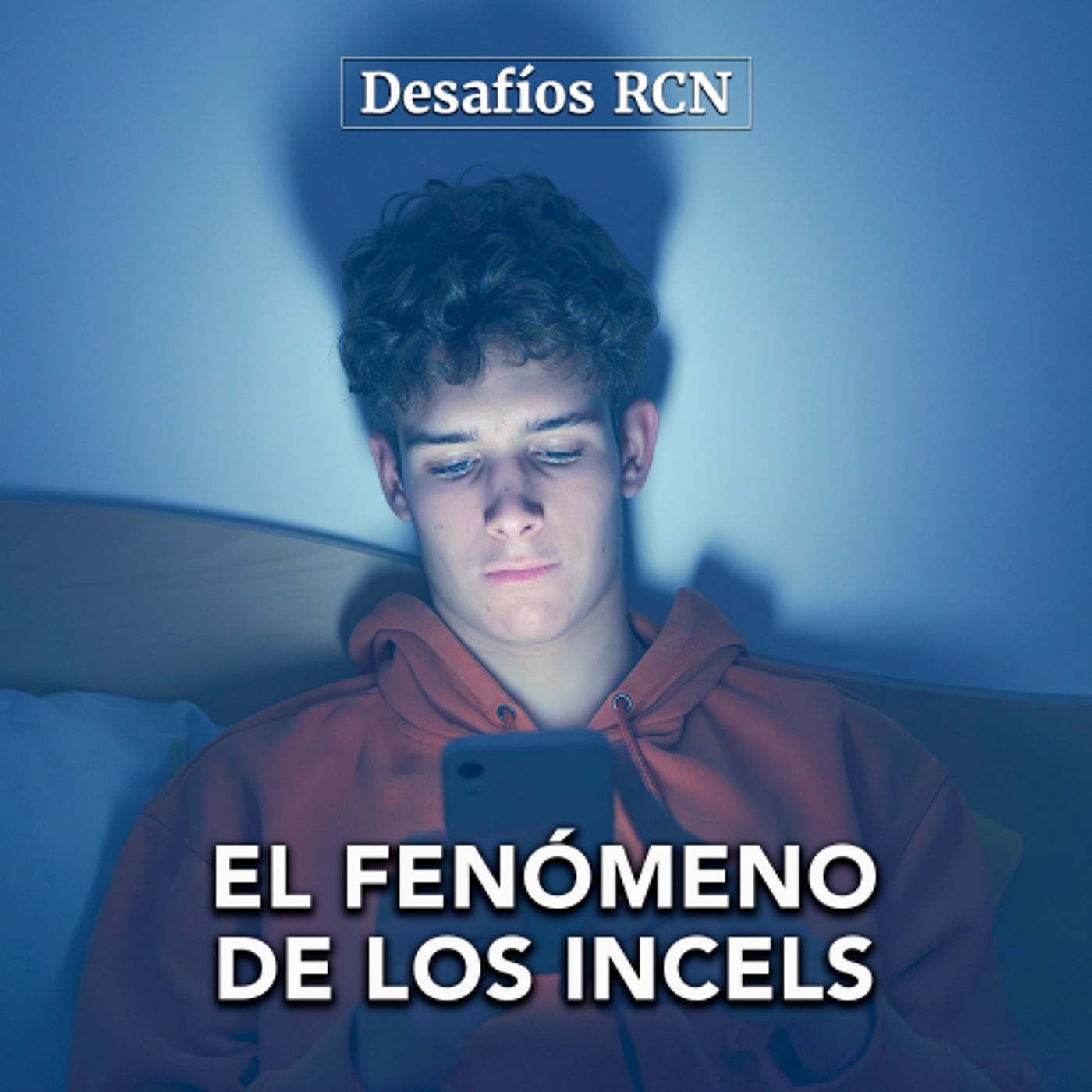 Fenómeno de los incels y su papel en la construcción de masculinidades en crisis | Desafíos RCN-Javeriana episode artwork