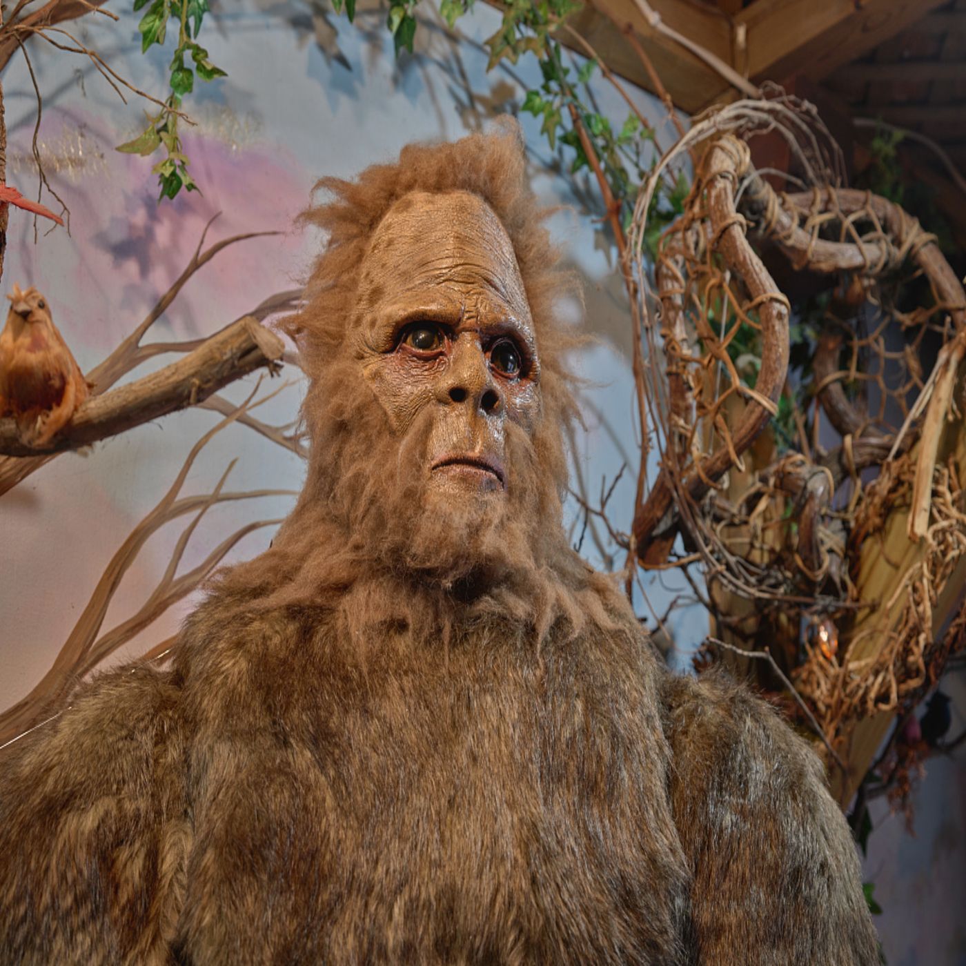 The Search for Bigfoot - A Talk Show podcast artwork