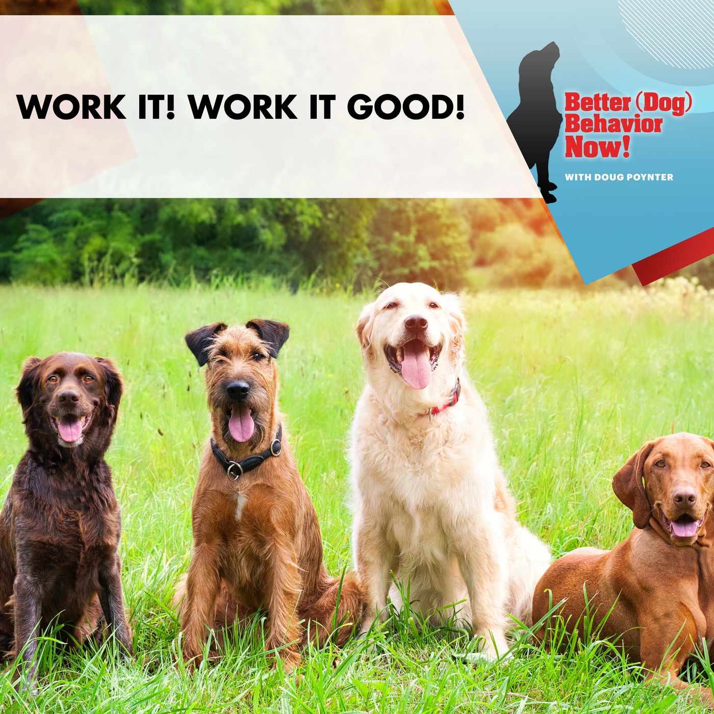 Work It! Work It Good! episode artwork