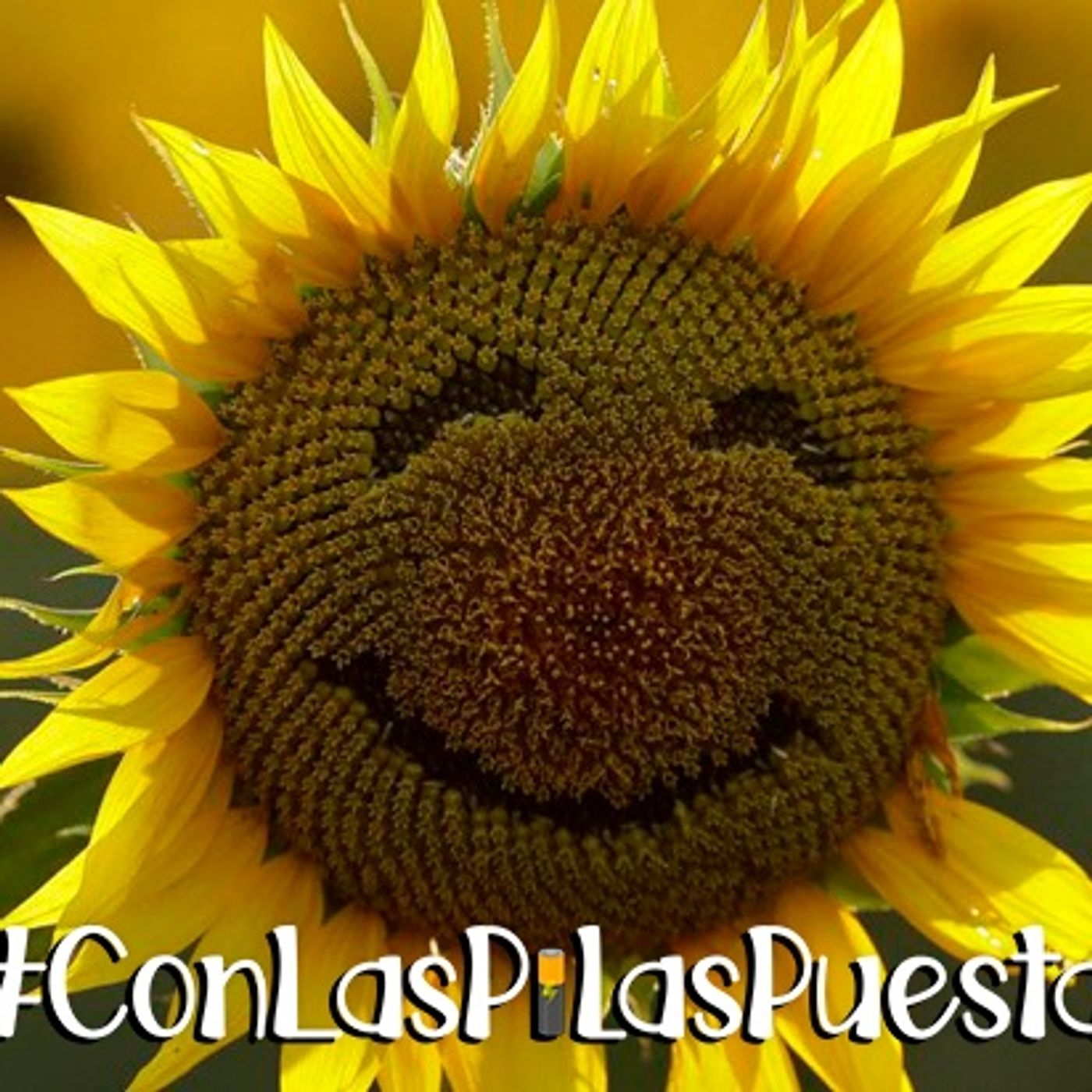 Con las Pilas Puestas