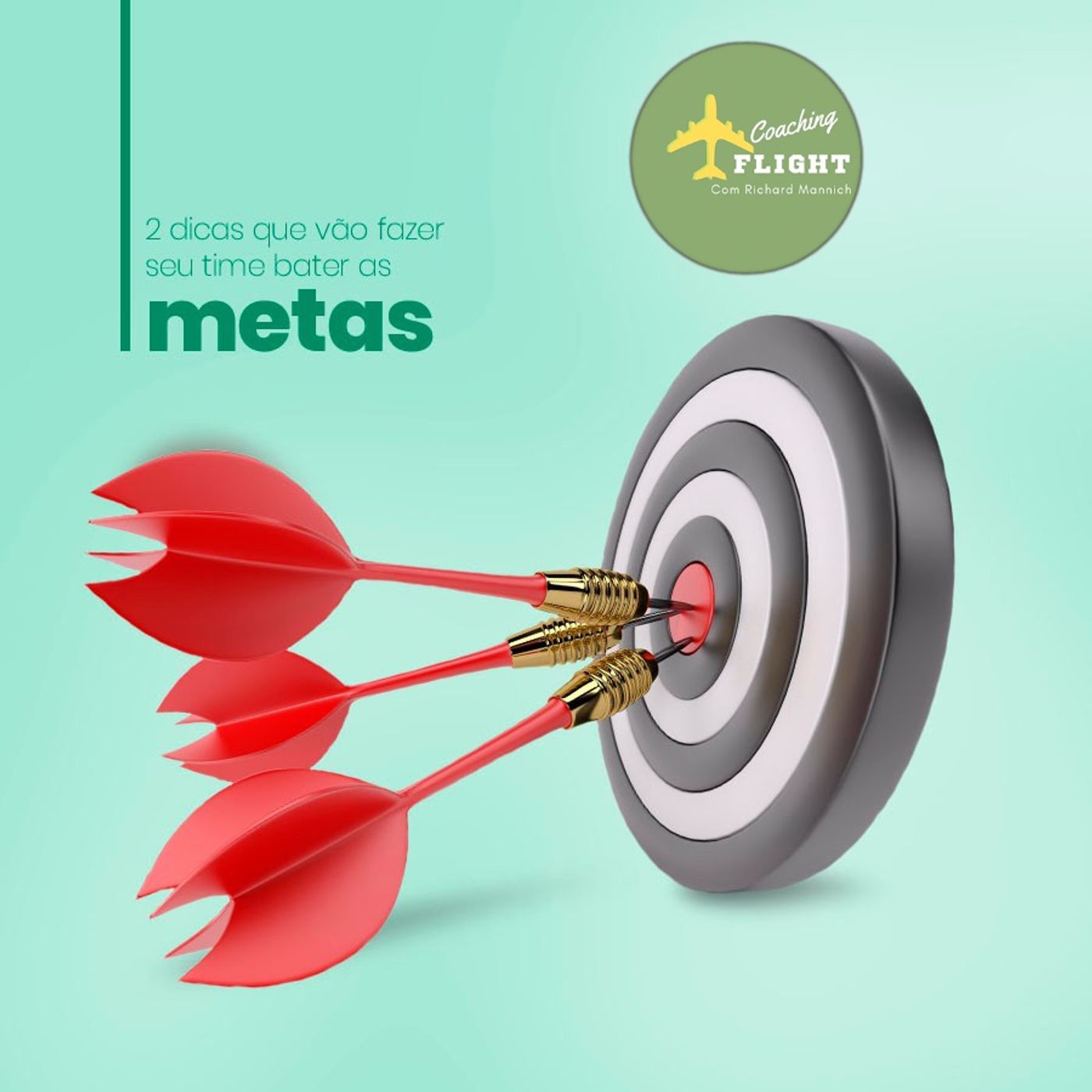 Pérolas de Coaching - Coaching Flight