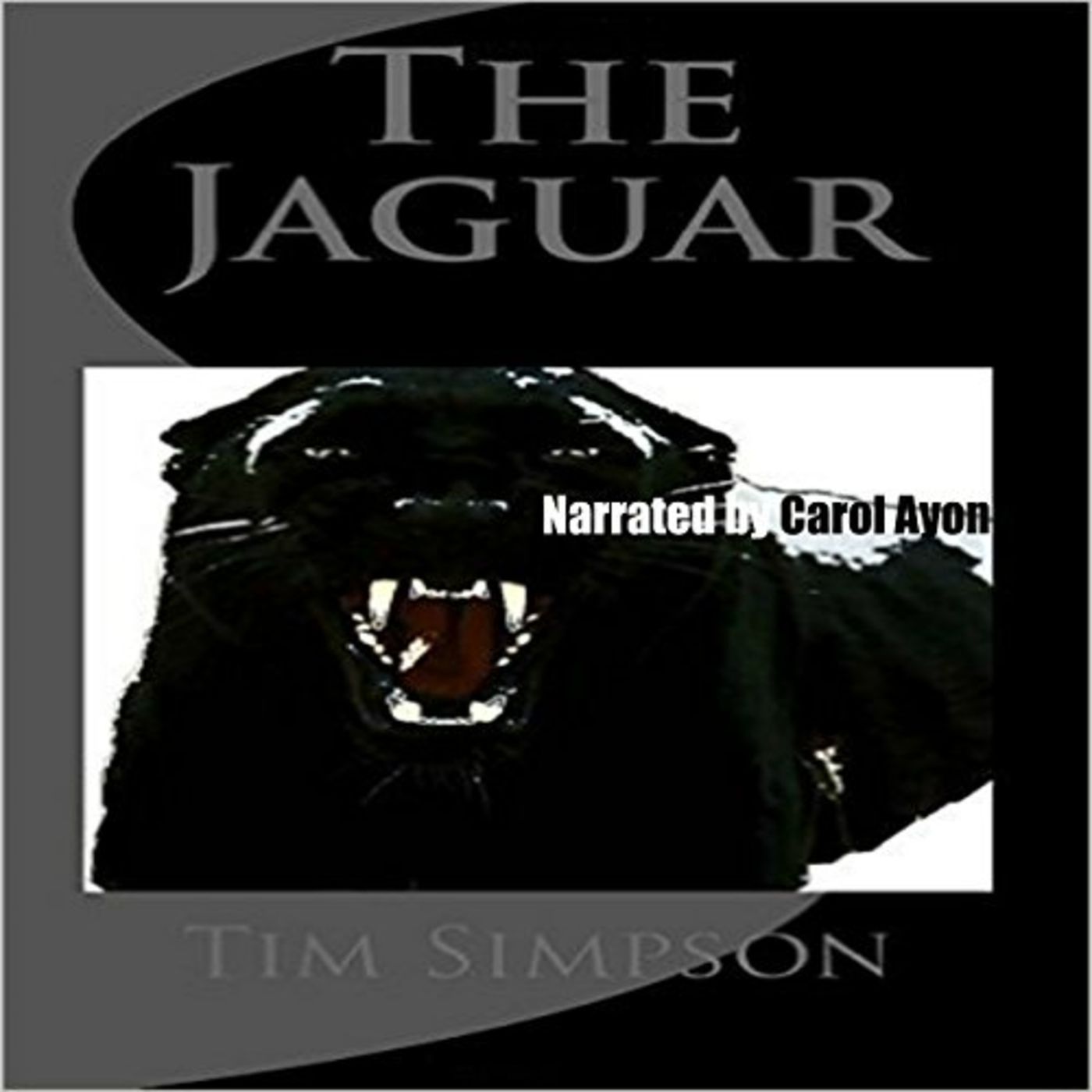 Author Tim Simpson